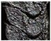 Processes 11 00868 i004