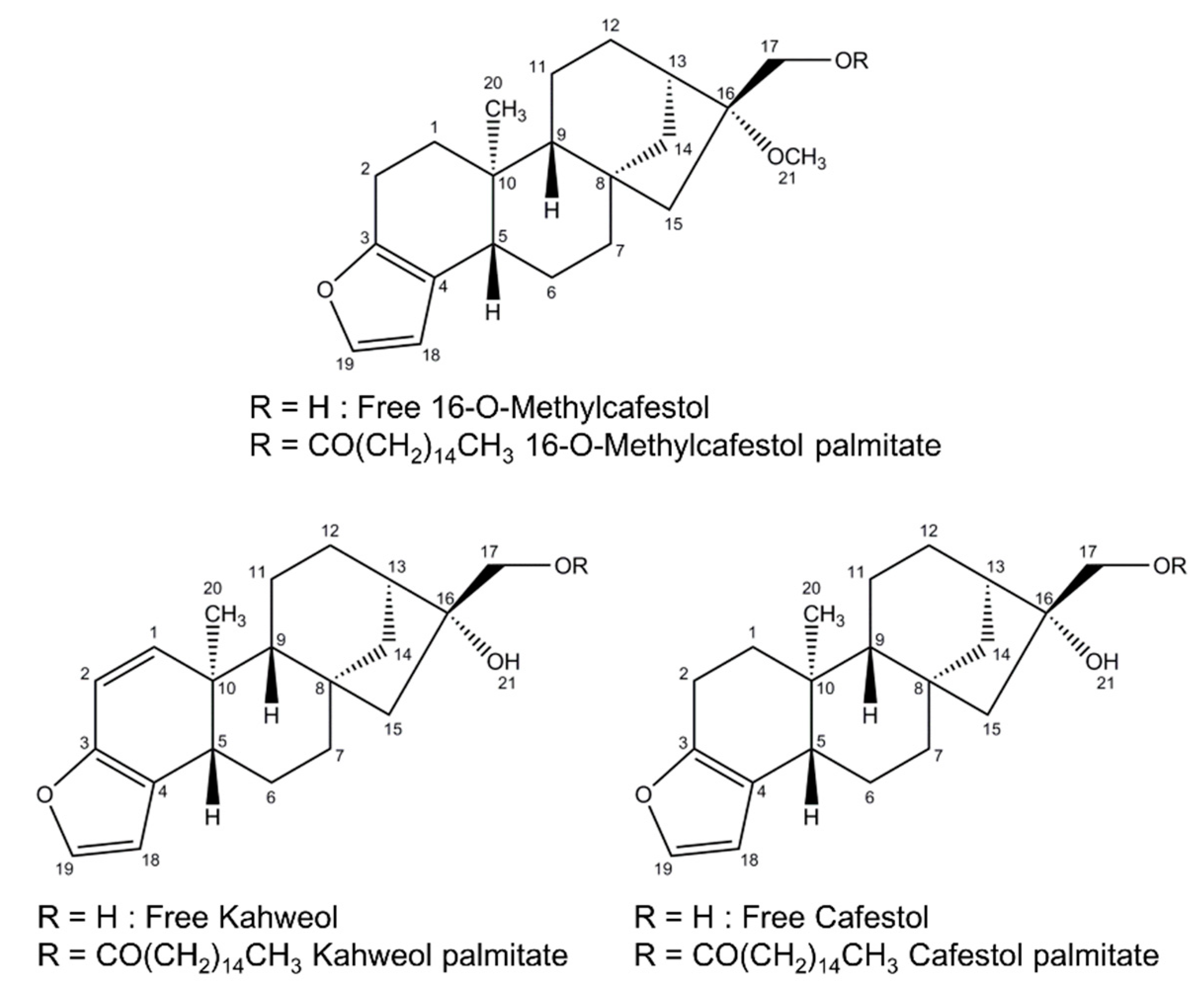 Processes 11 00871 g001