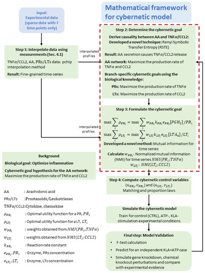 Processes 11 00874 g002
