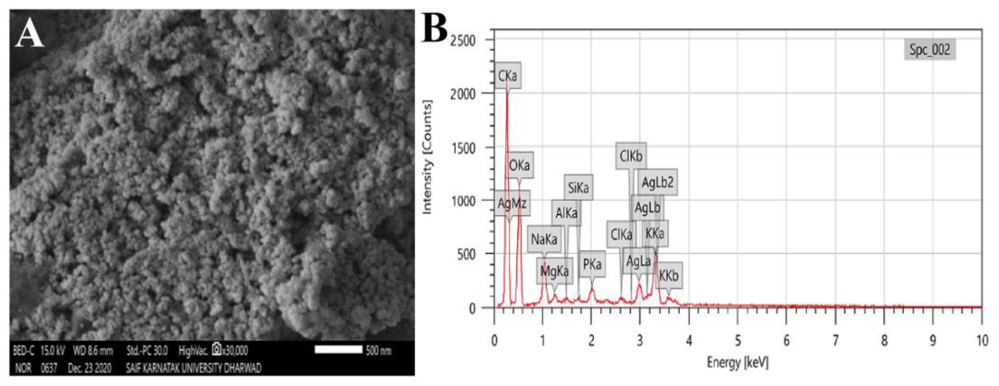 Processes 11 00893 g005