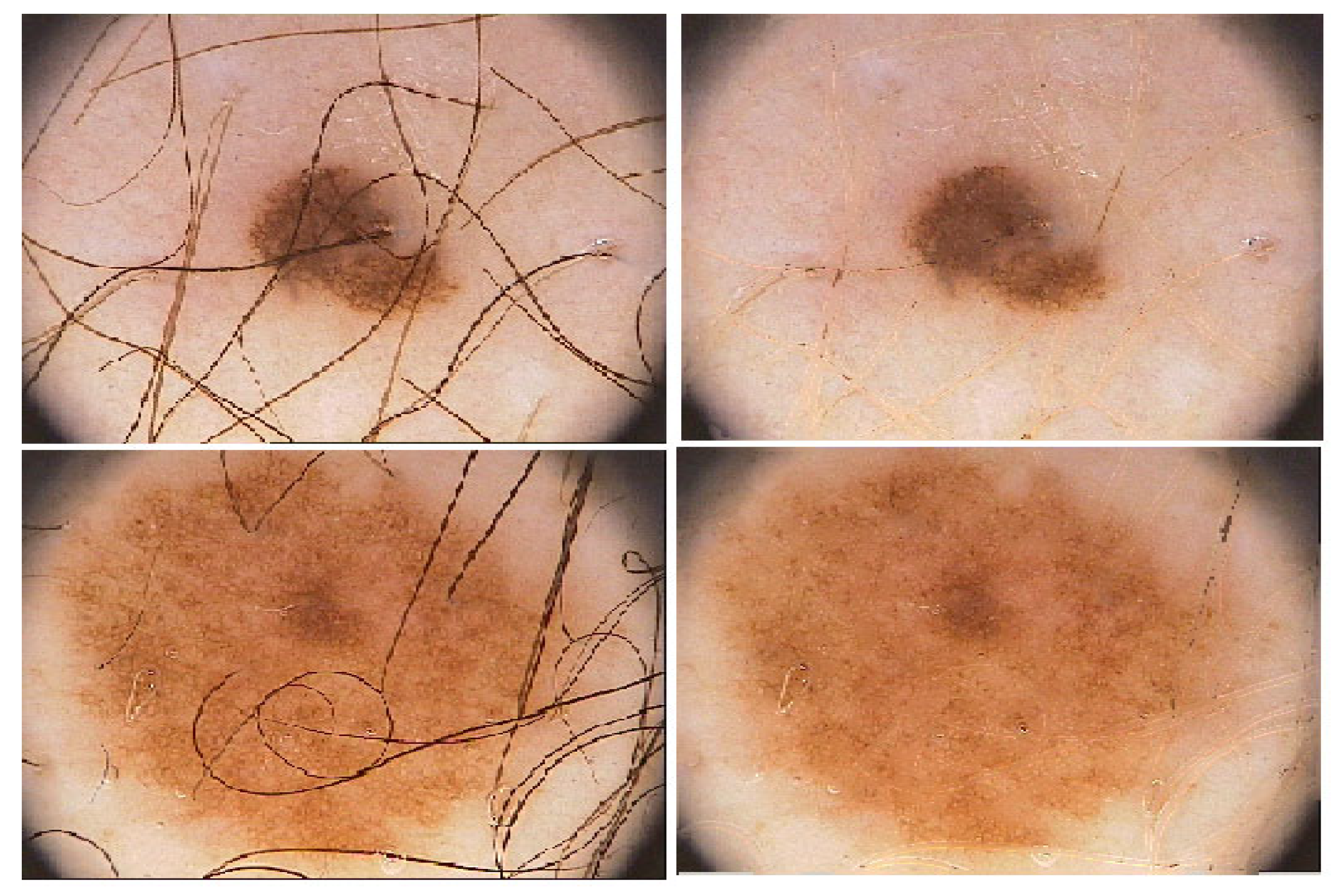 Processes 11 00910 g004 Processes 11 00910 g004