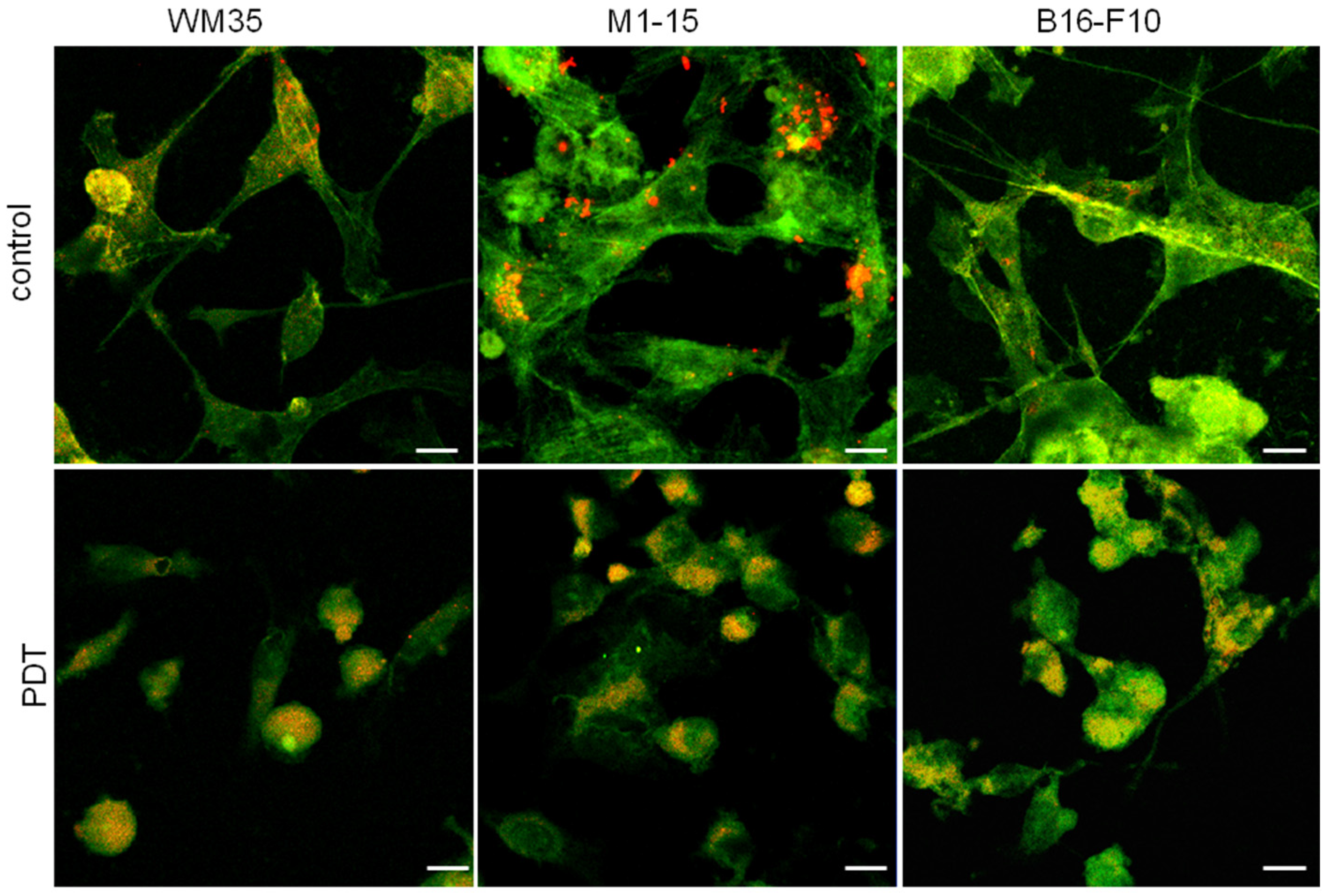 Processes 11 00917 g002