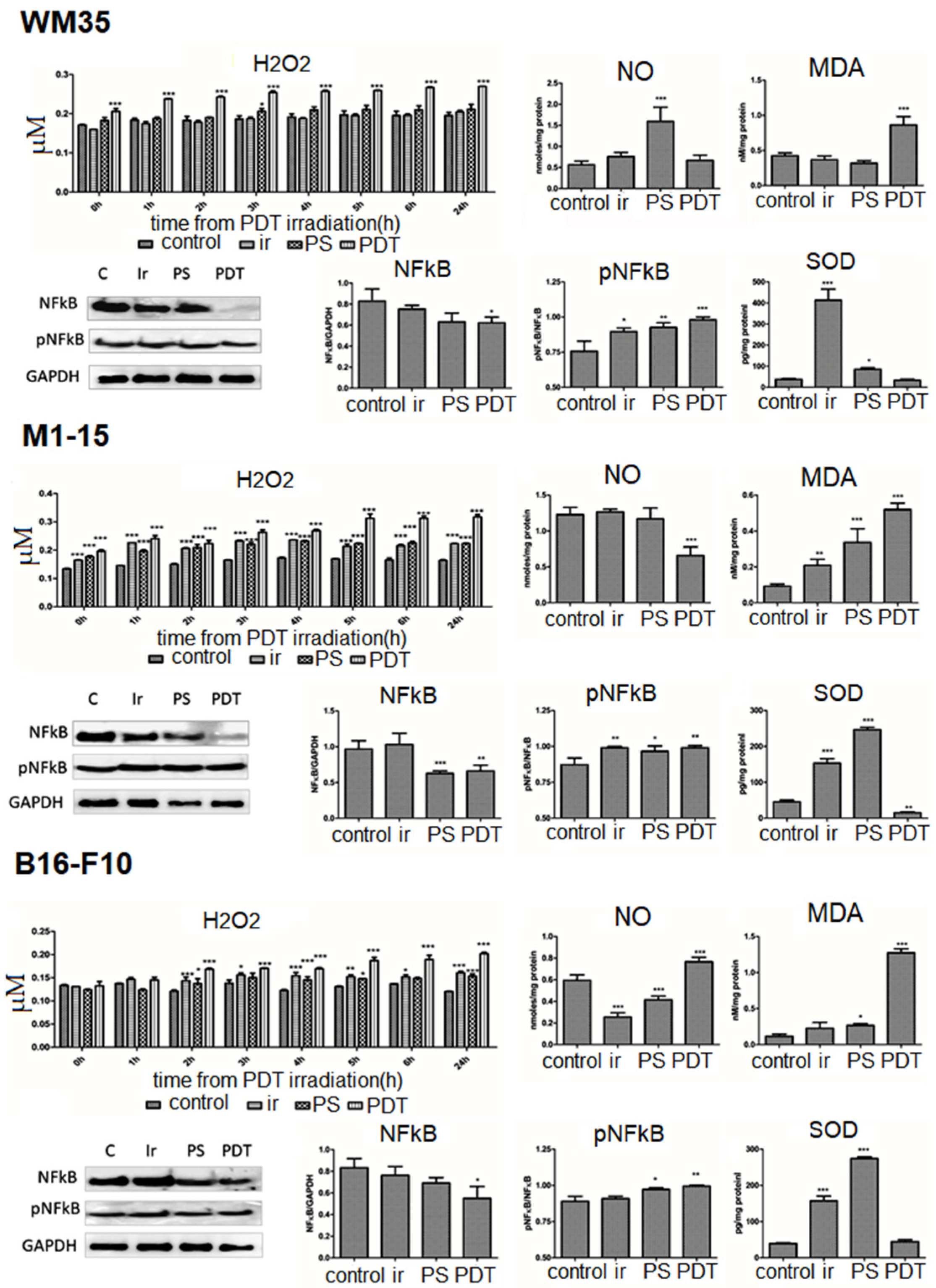 Processes 11 00917 g004