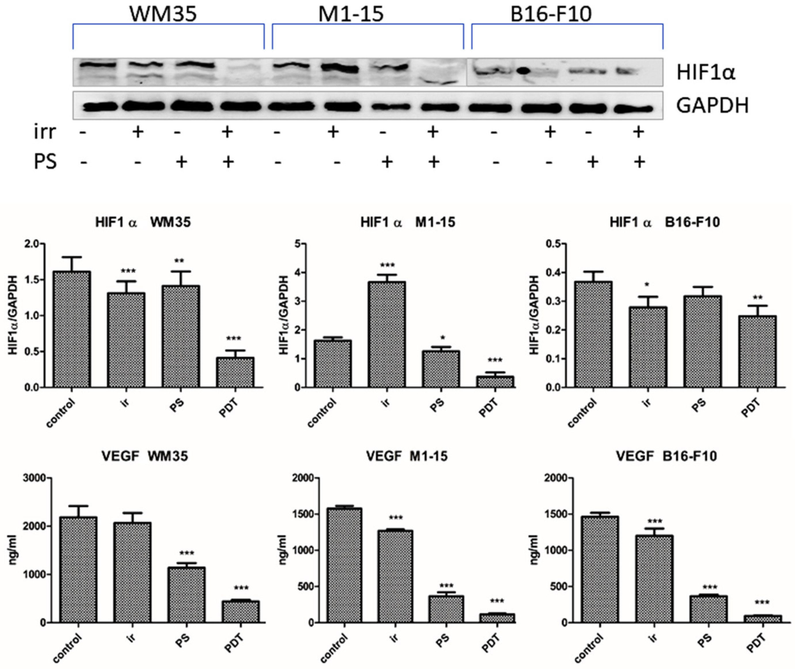 Processes 11 00917 g007