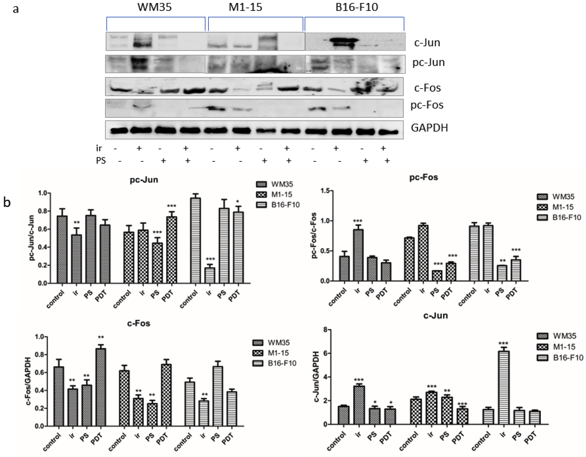 Processes 11 00917 g008