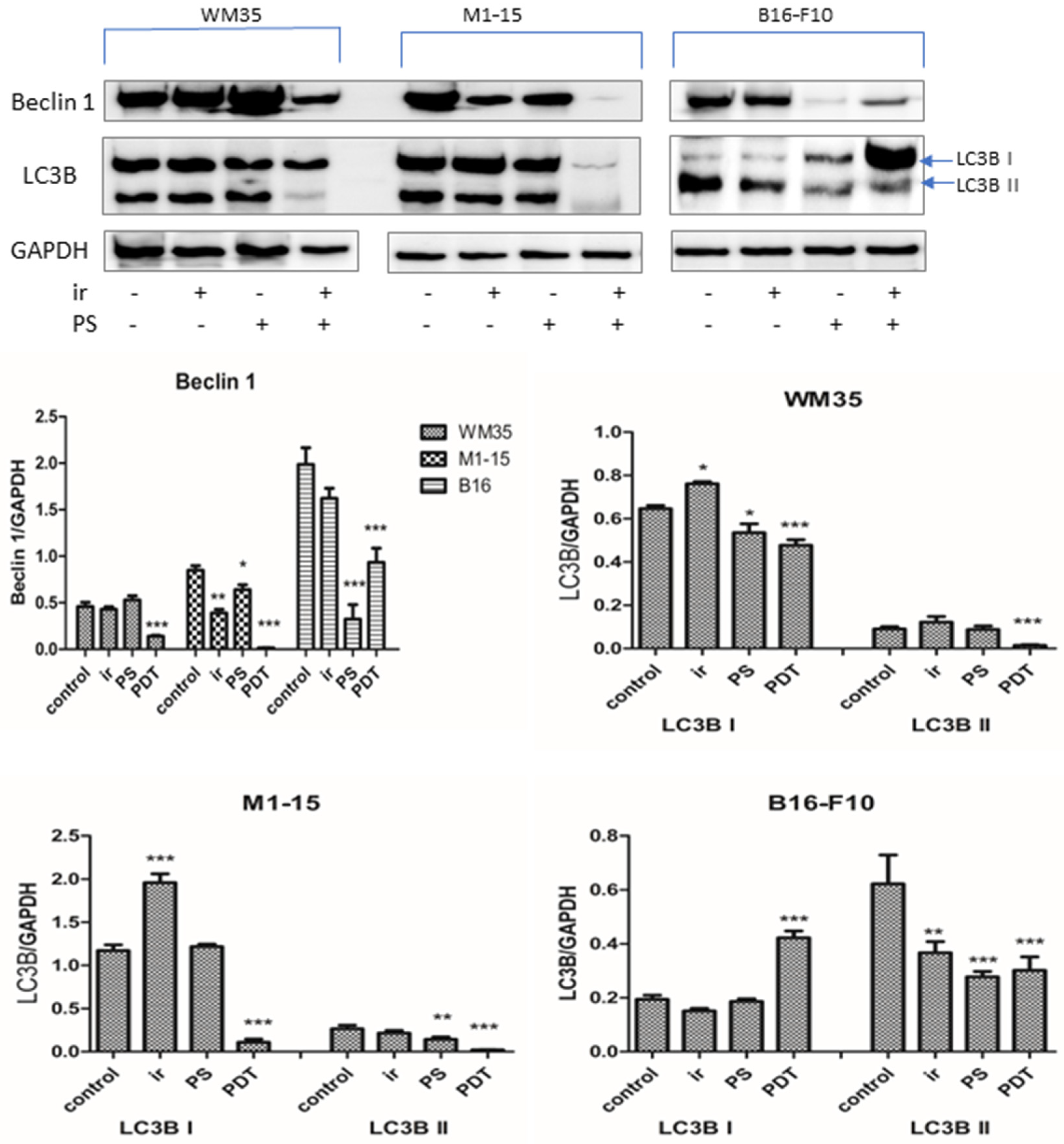 Processes 11 00917 g009