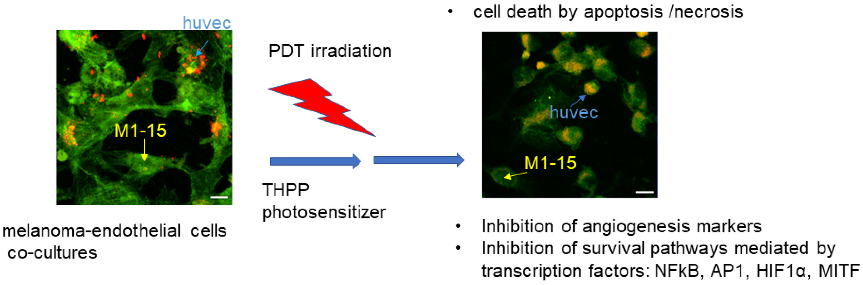 Processes 11 00917 g010