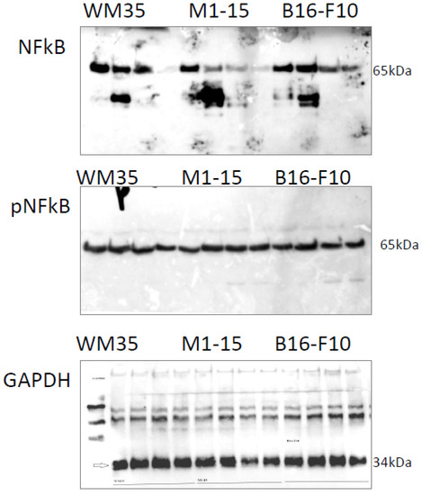 Processes 11 00917 g0a1
