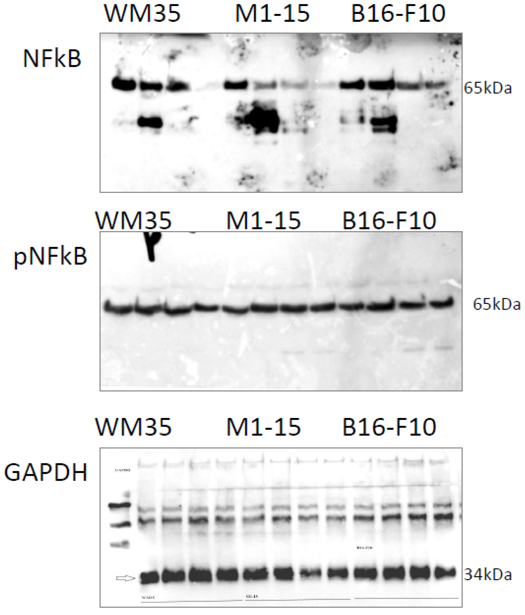 Processes 11 00917 g0a1