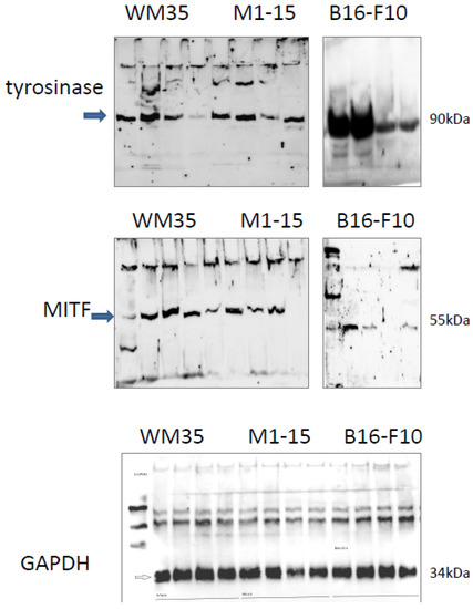 Processes 11 00917 g0a2