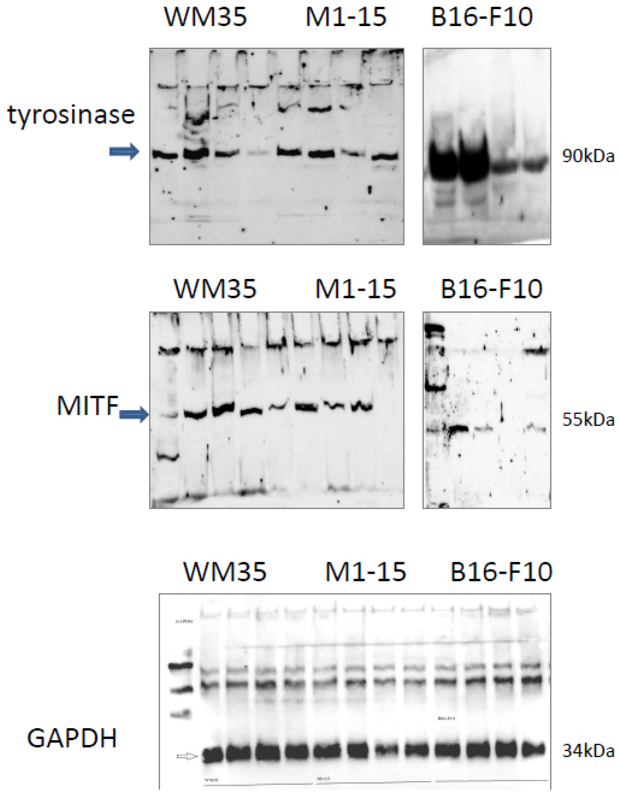 Processes 11 00917 g0a2