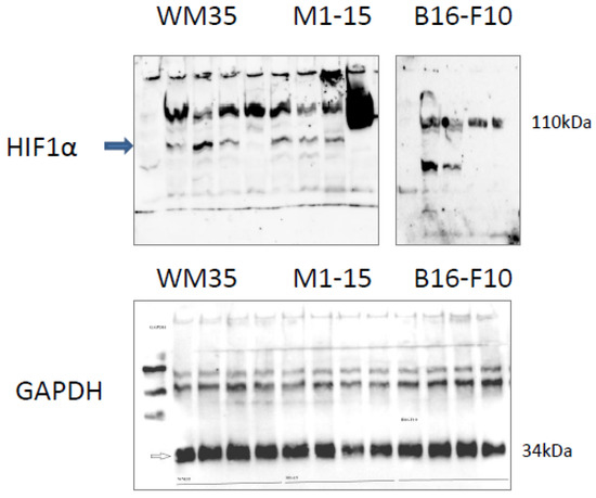 Processes 11 00917 g0a3