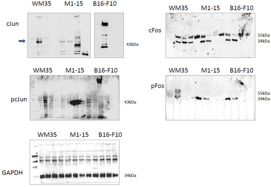 Processes 11 00917 g0a4
