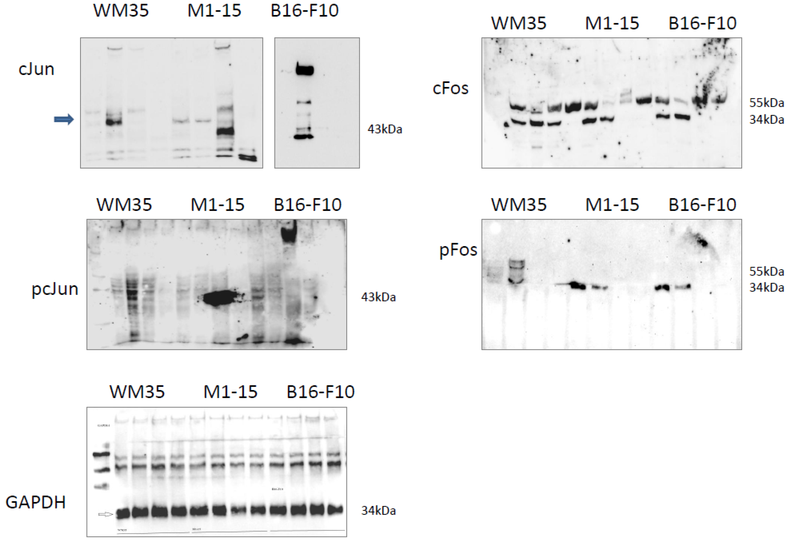 Processes 11 00917 g0a4