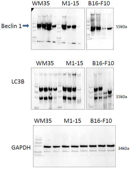 Processes 11 00917 g0a5