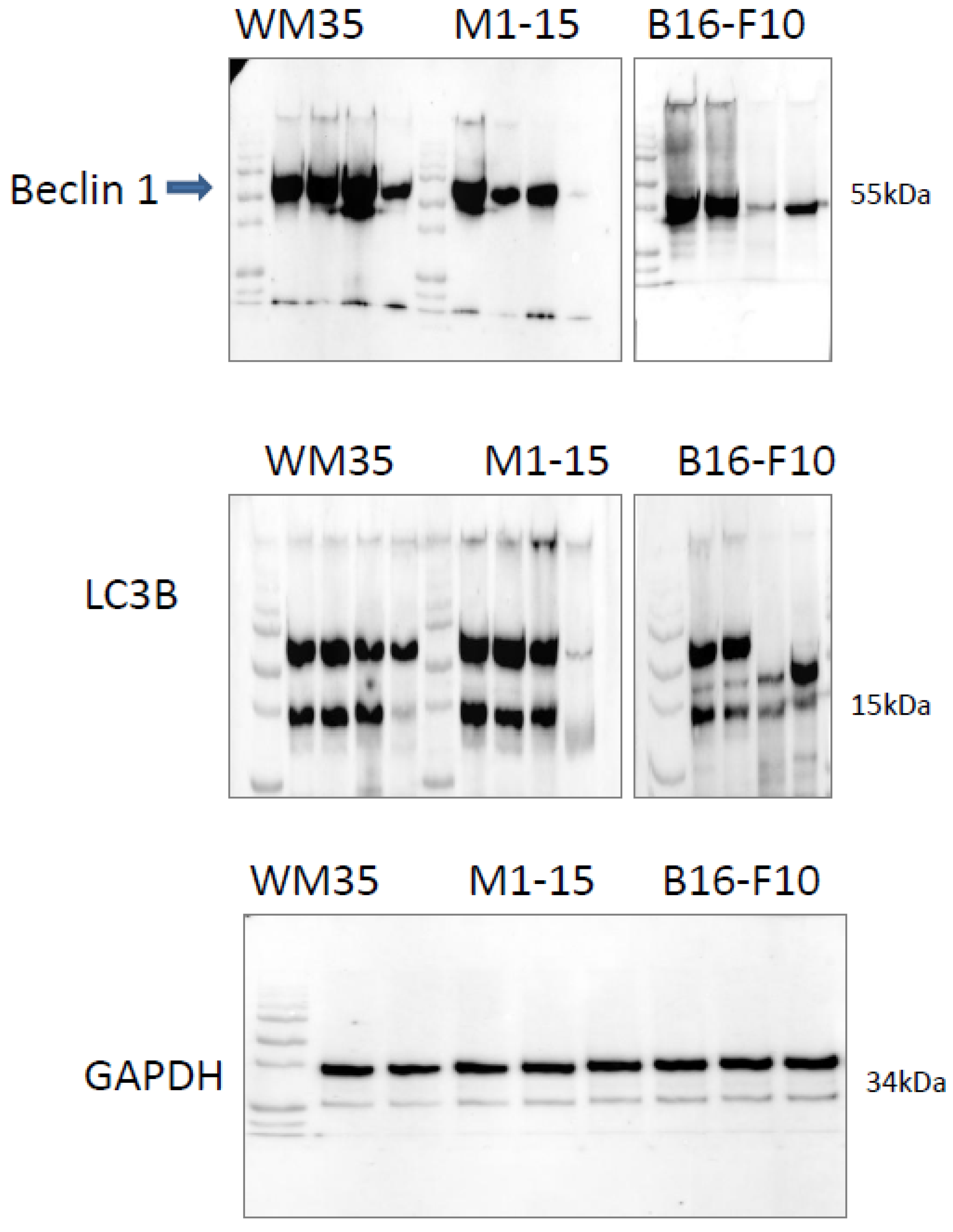 Processes 11 00917 g0a5