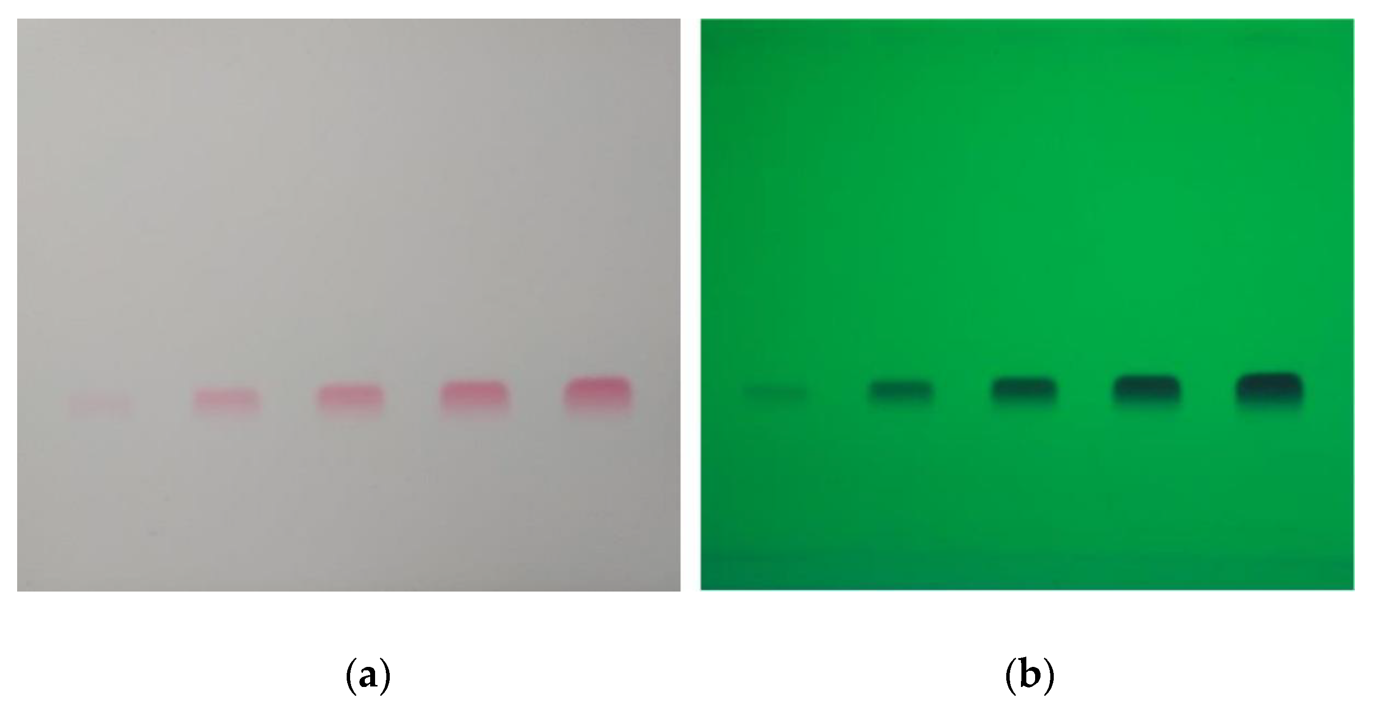Processes 11 00937 g002