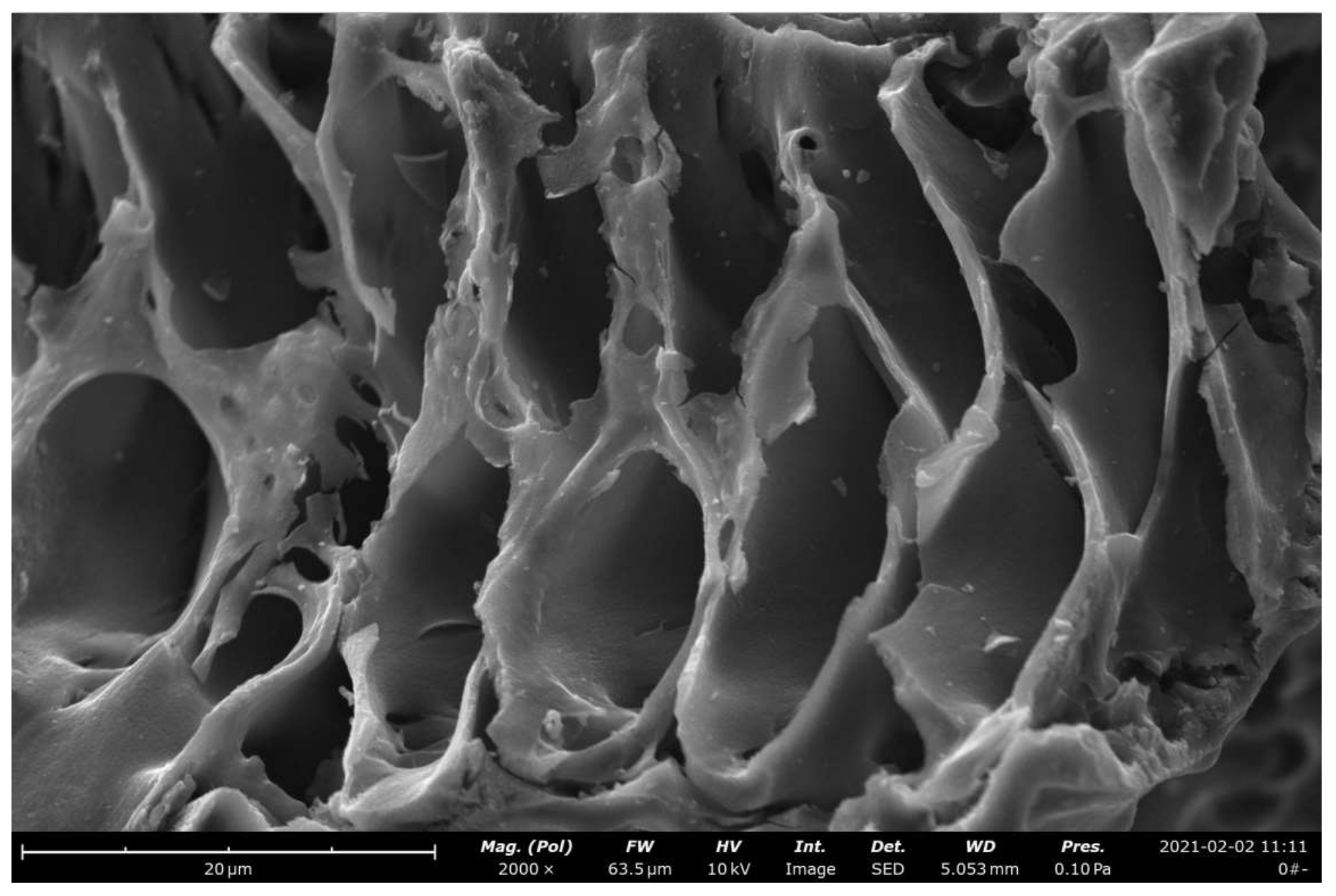 Processes 11 00970 g002