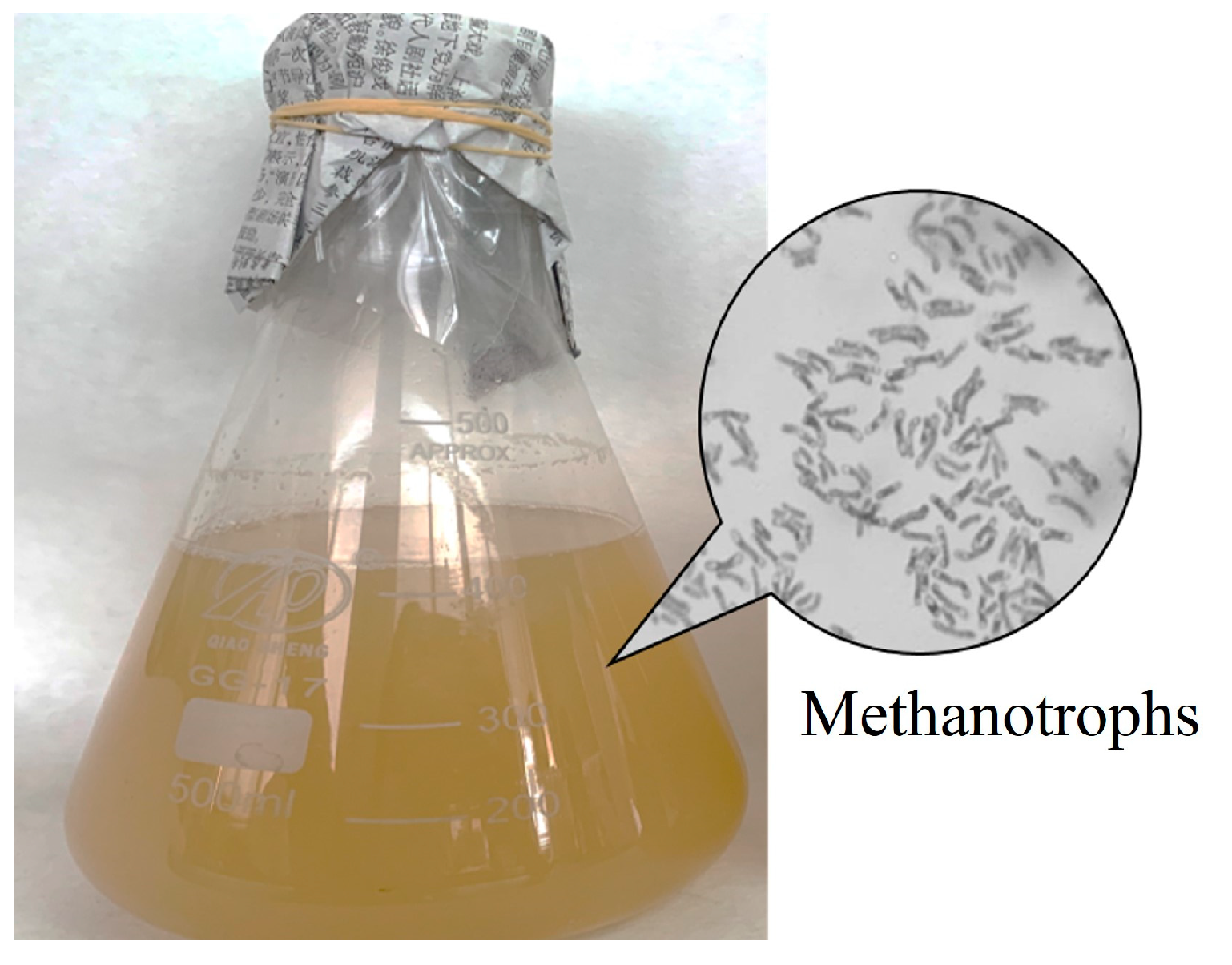 Processes 11 00982 g003