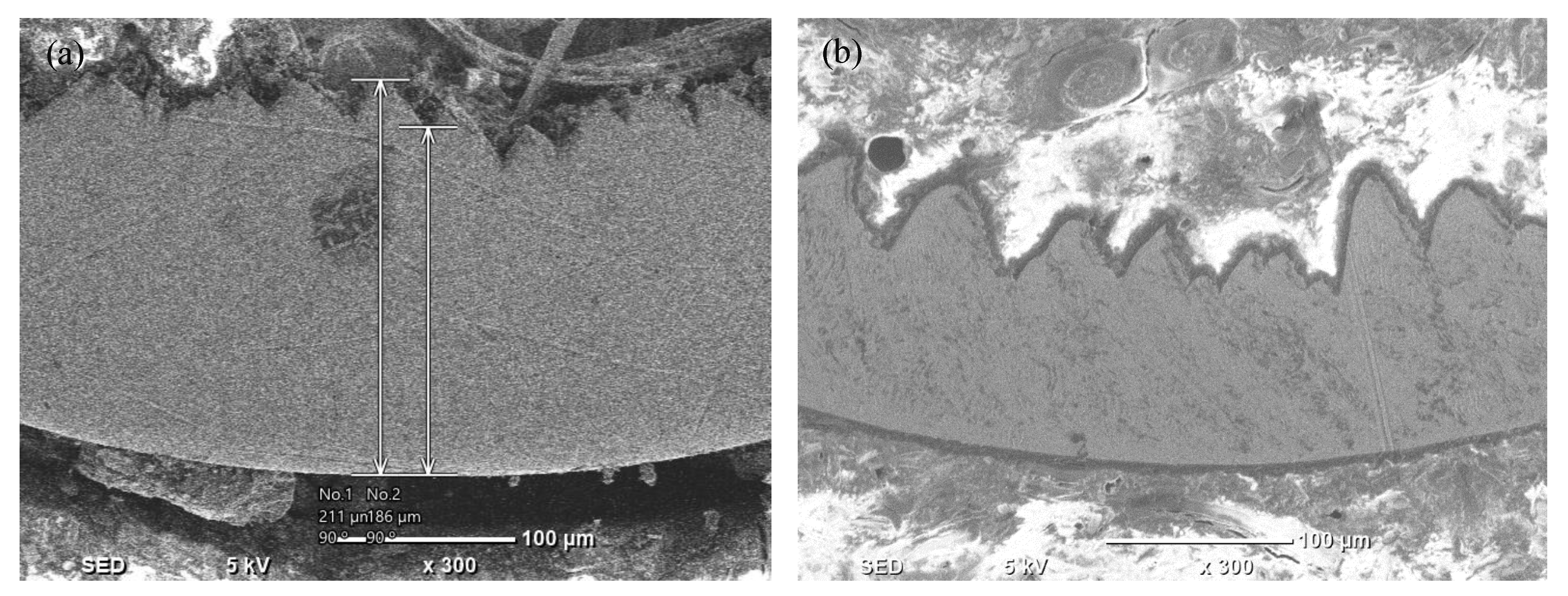 Processes 11 01031 g011