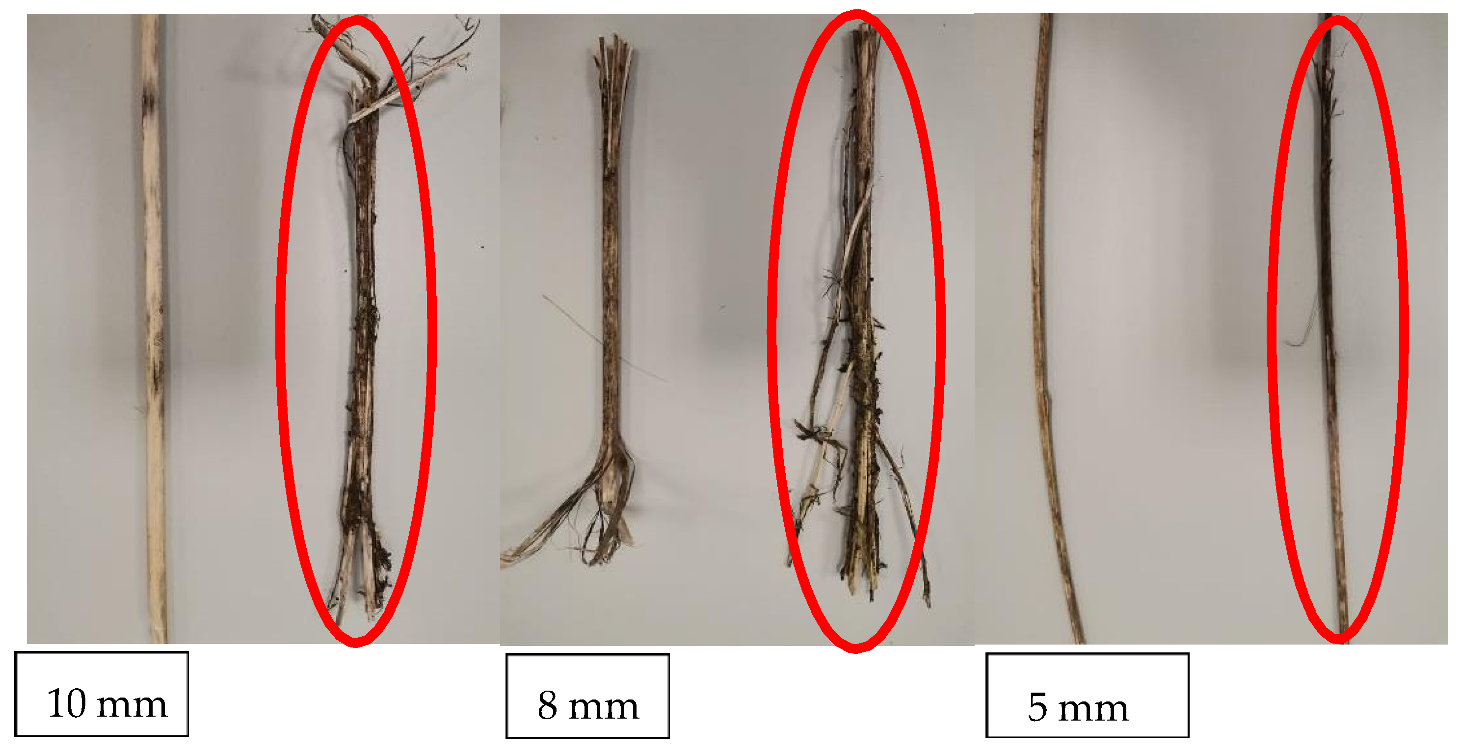 Processes 11 01067 g003
