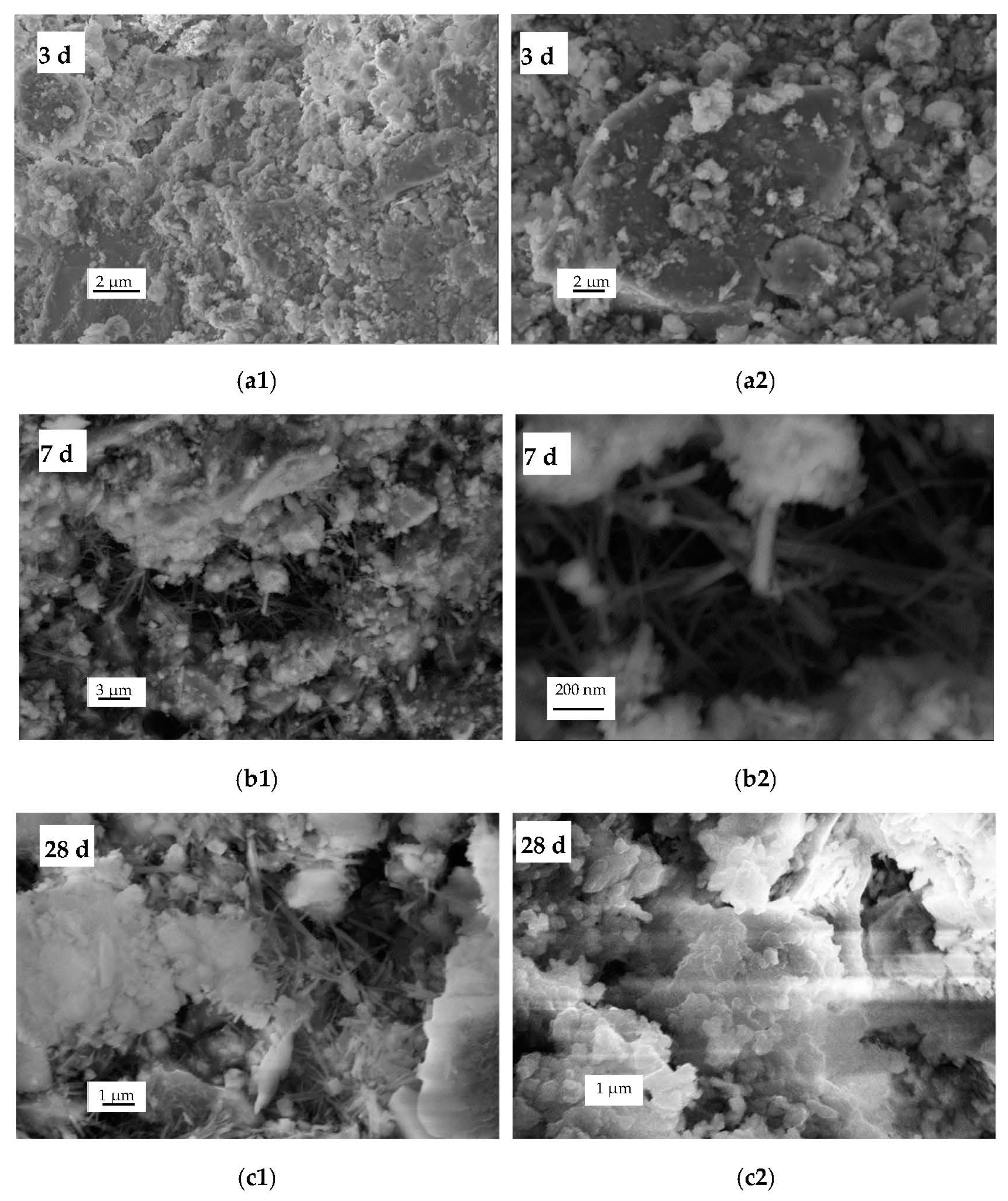 Processes 11 01101 g004 Processes 11 01101 g004