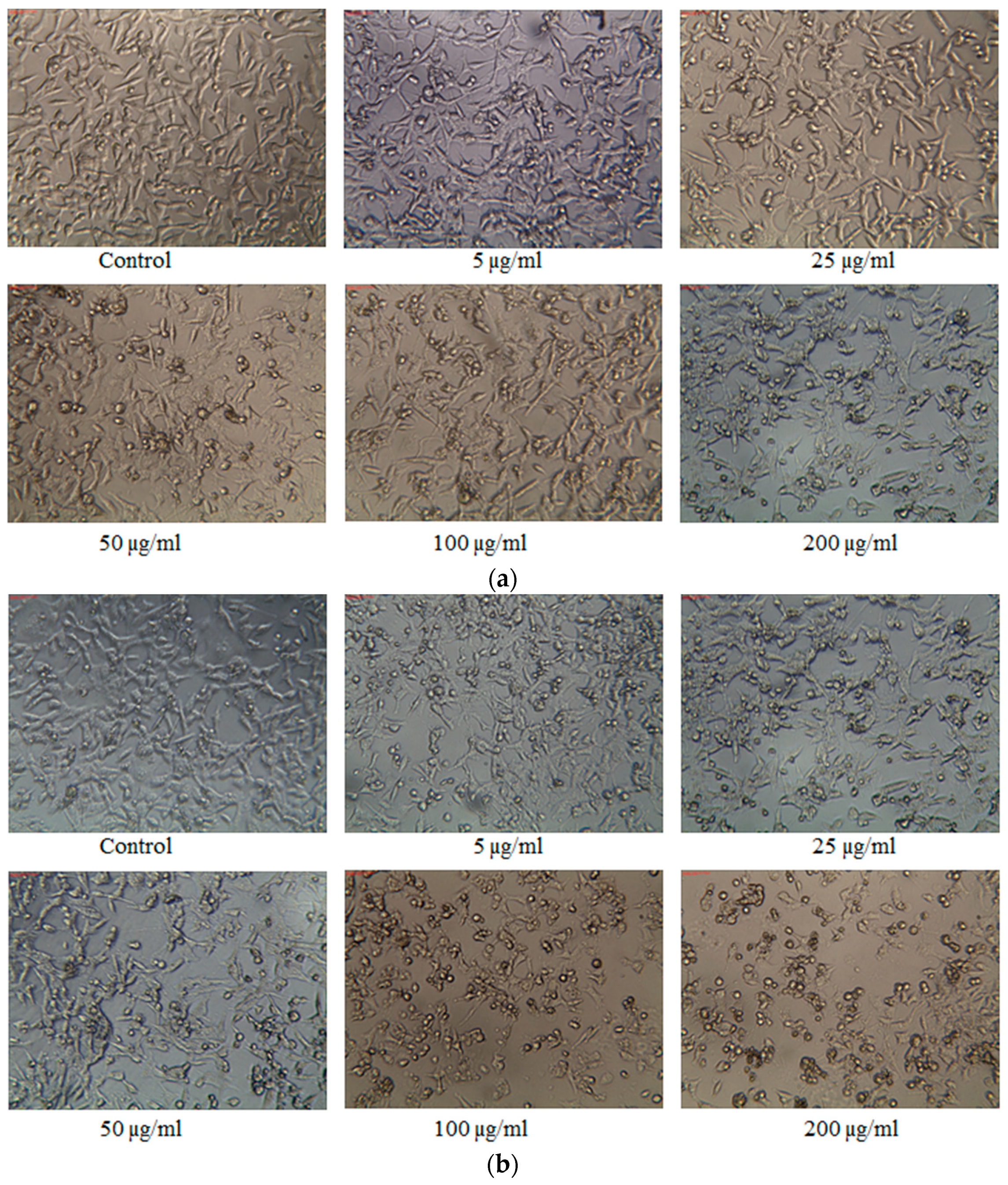 Processes 11 01111 g006 Processes 11 01111 g006