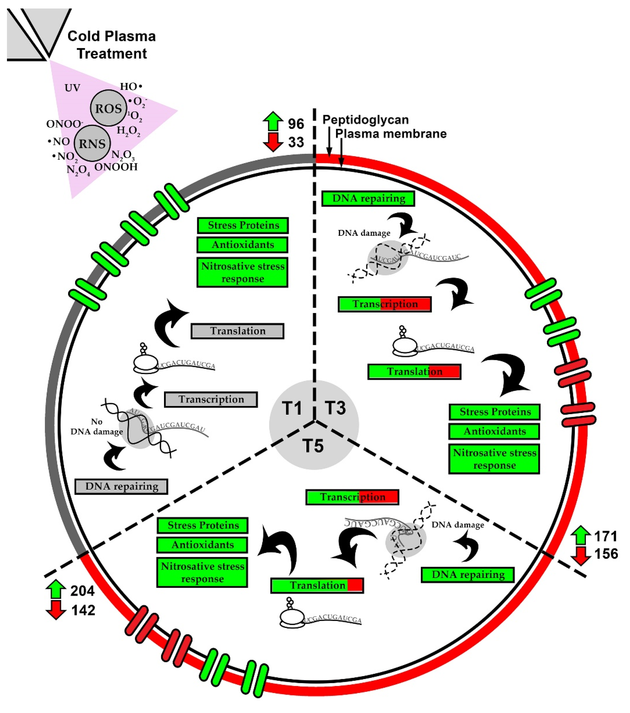 Processes 11 01188 g007