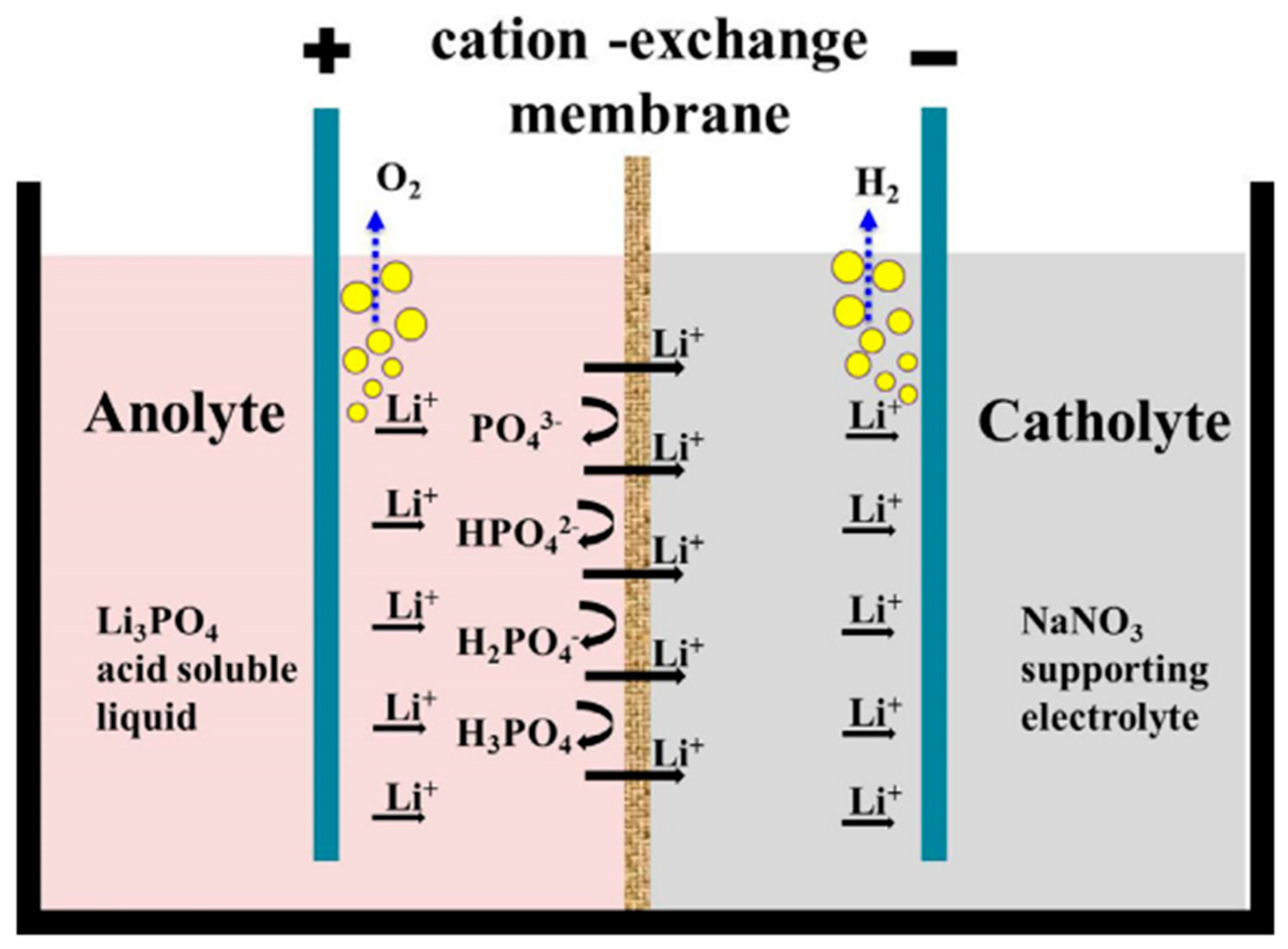 Processes 11 01256 g010