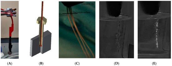 Processes 11 01260 g0a1