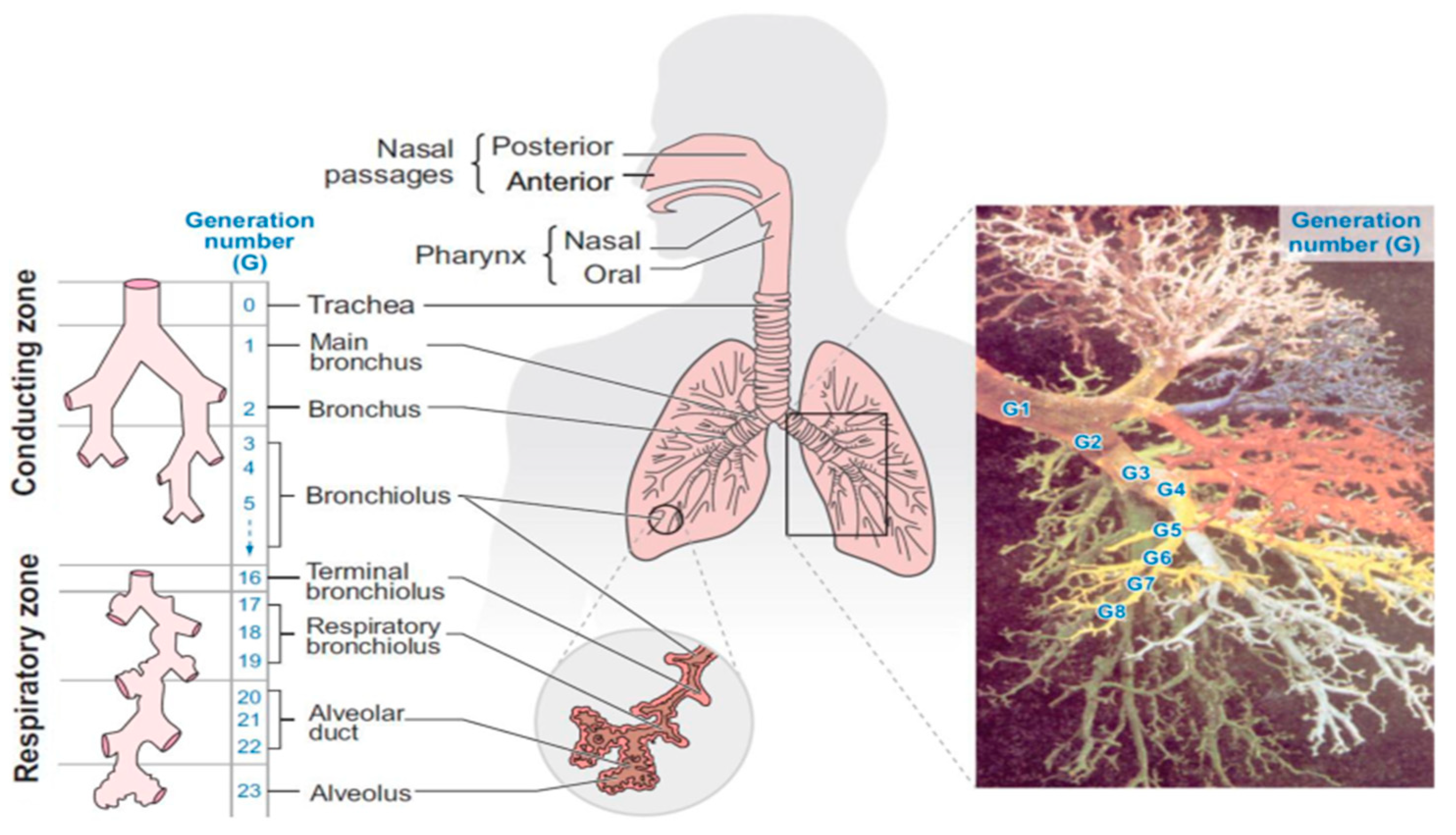 Processes 11 01281 g001