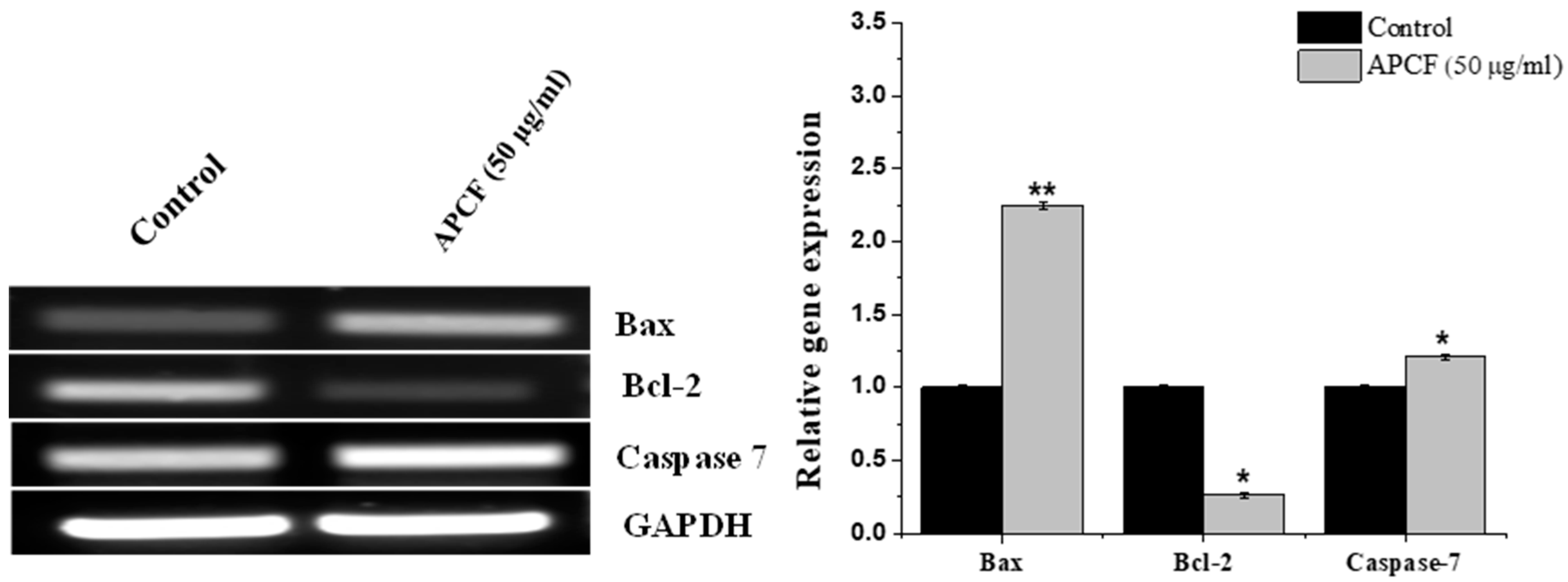 Processes 11 01306 g004 Processes 11 01306 g004