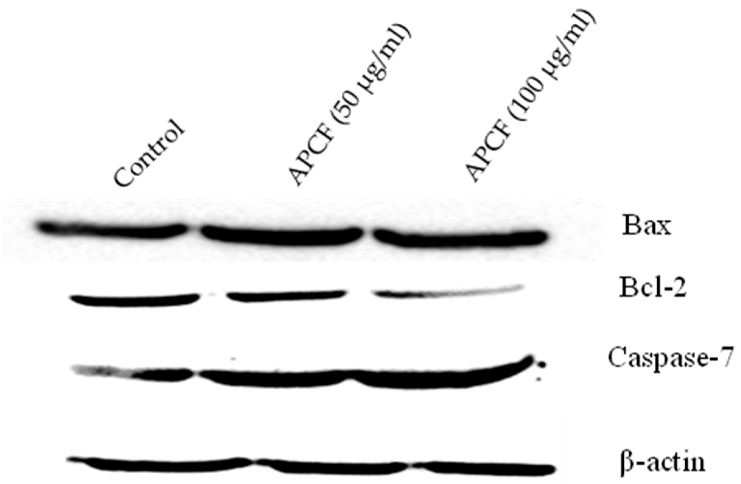 Processes 11 01306 g005 Processes 11 01306 g005
