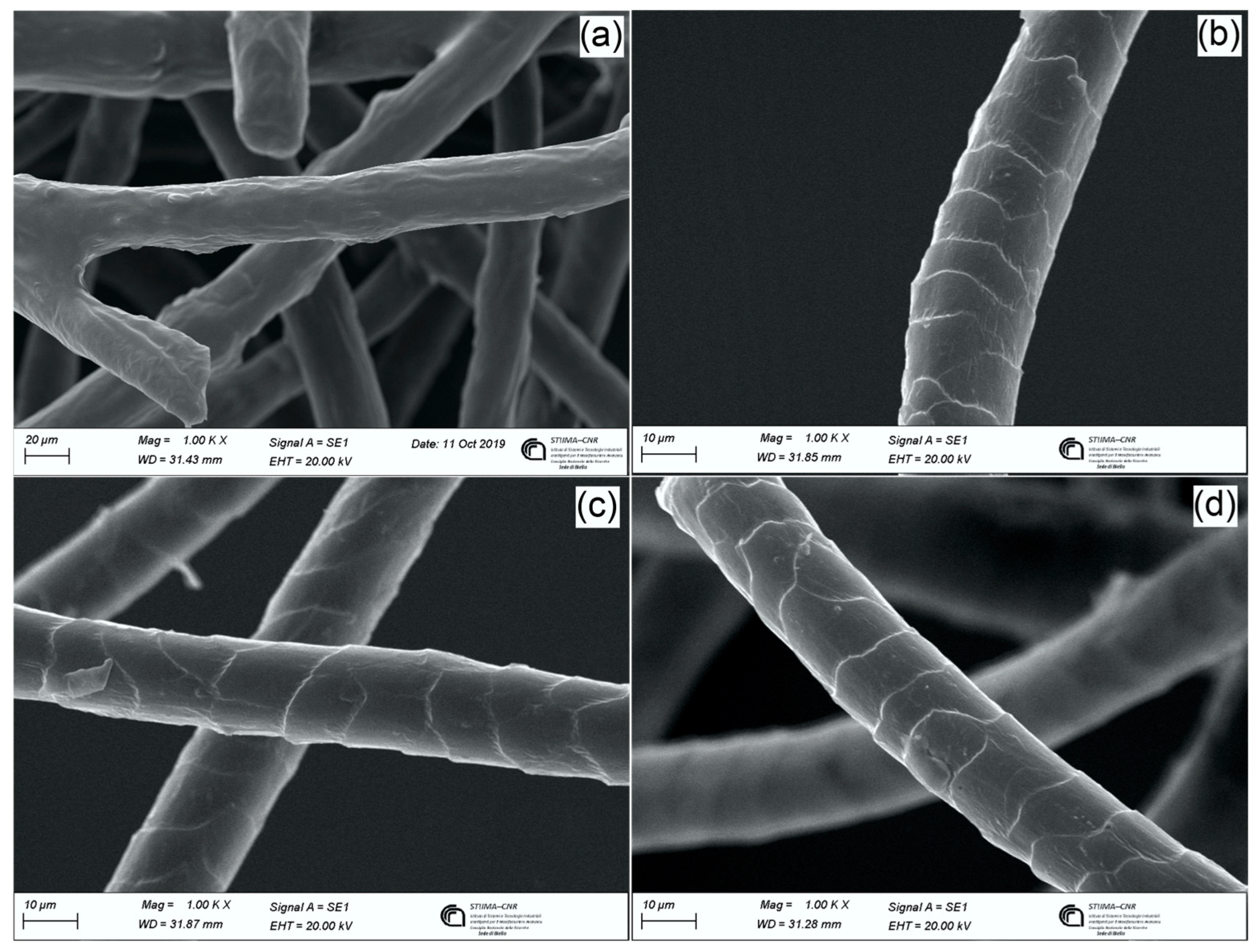 Processes 11 01309 g003