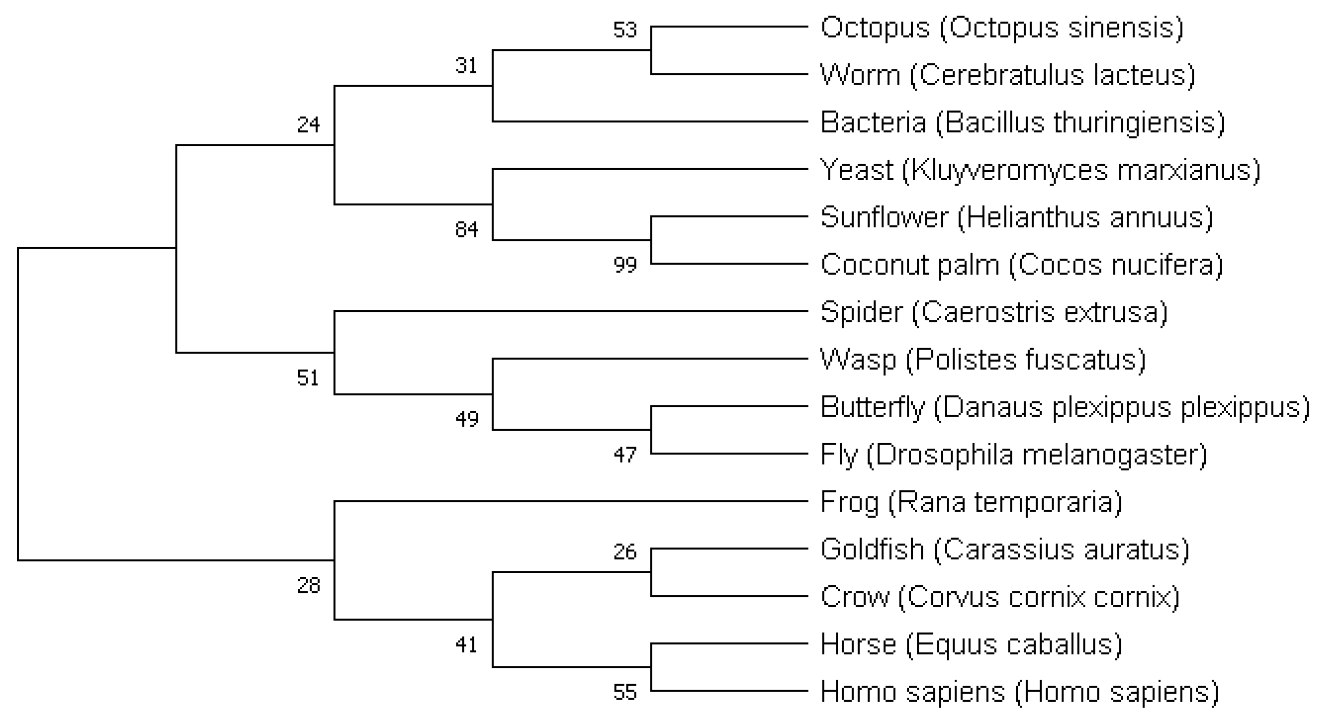 Processes 11 01316 g005