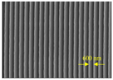 Processes 11 01337 i011