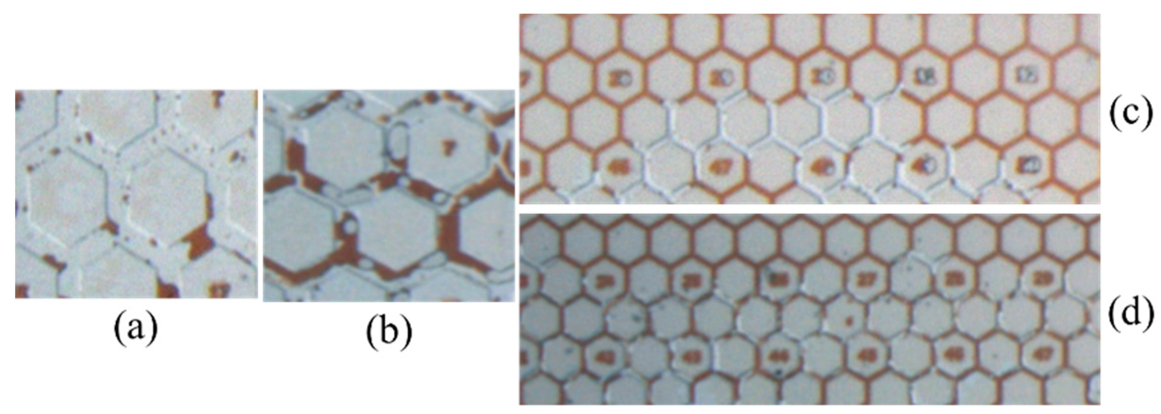 Processes 11 01411 g009