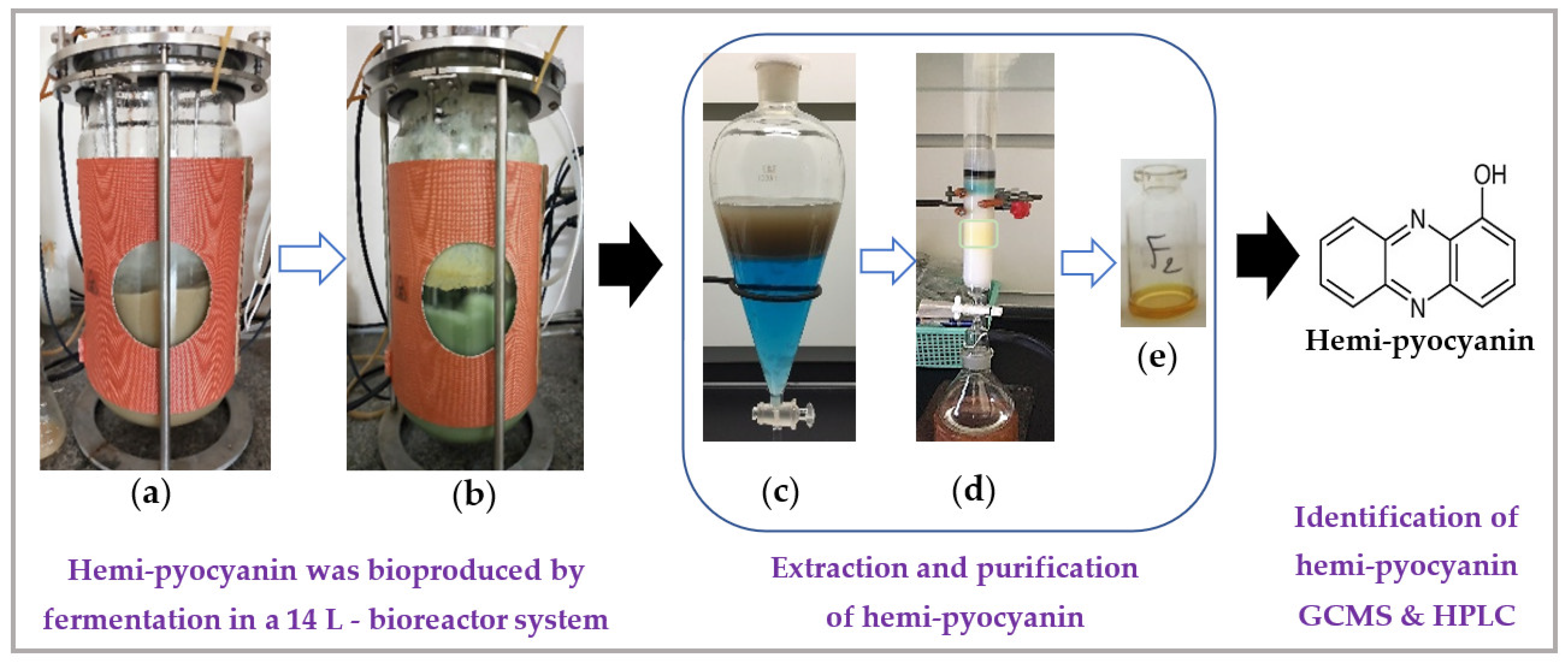 Processes 11 01468 g005