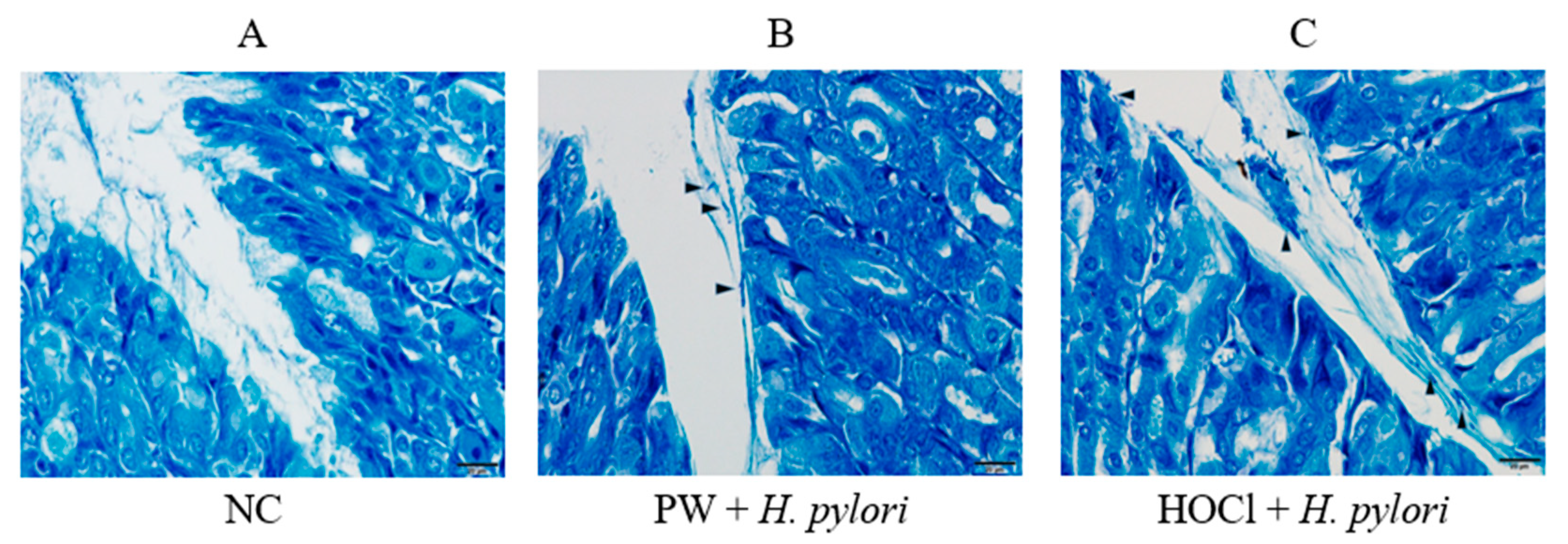 Processes 11 01474 g002