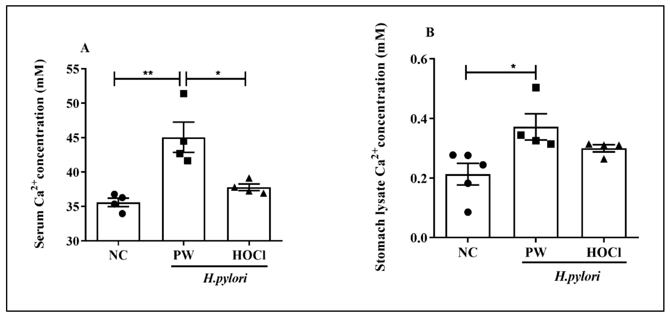 Processes 11 01474 g005