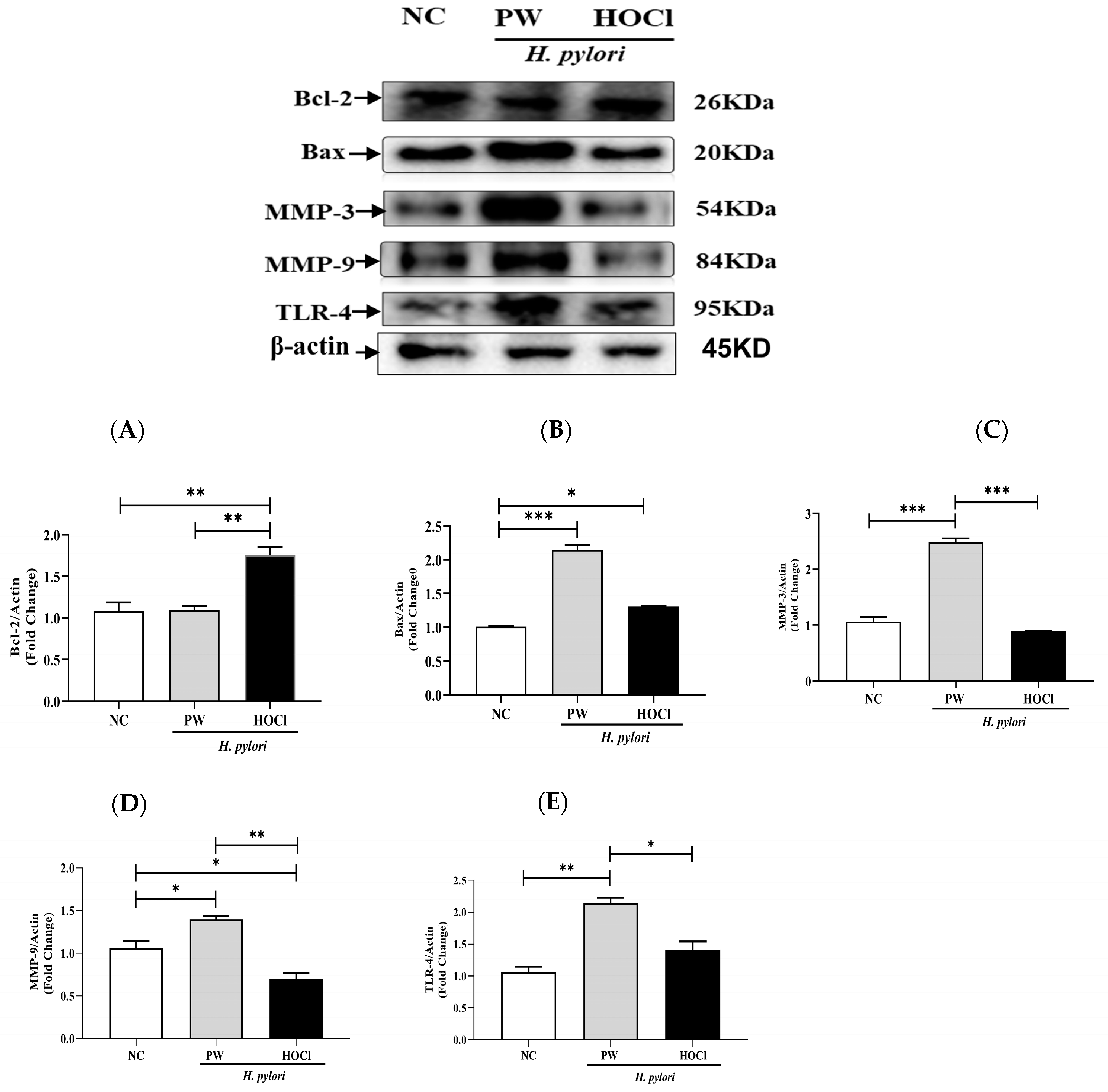 Processes 11 01474 g007