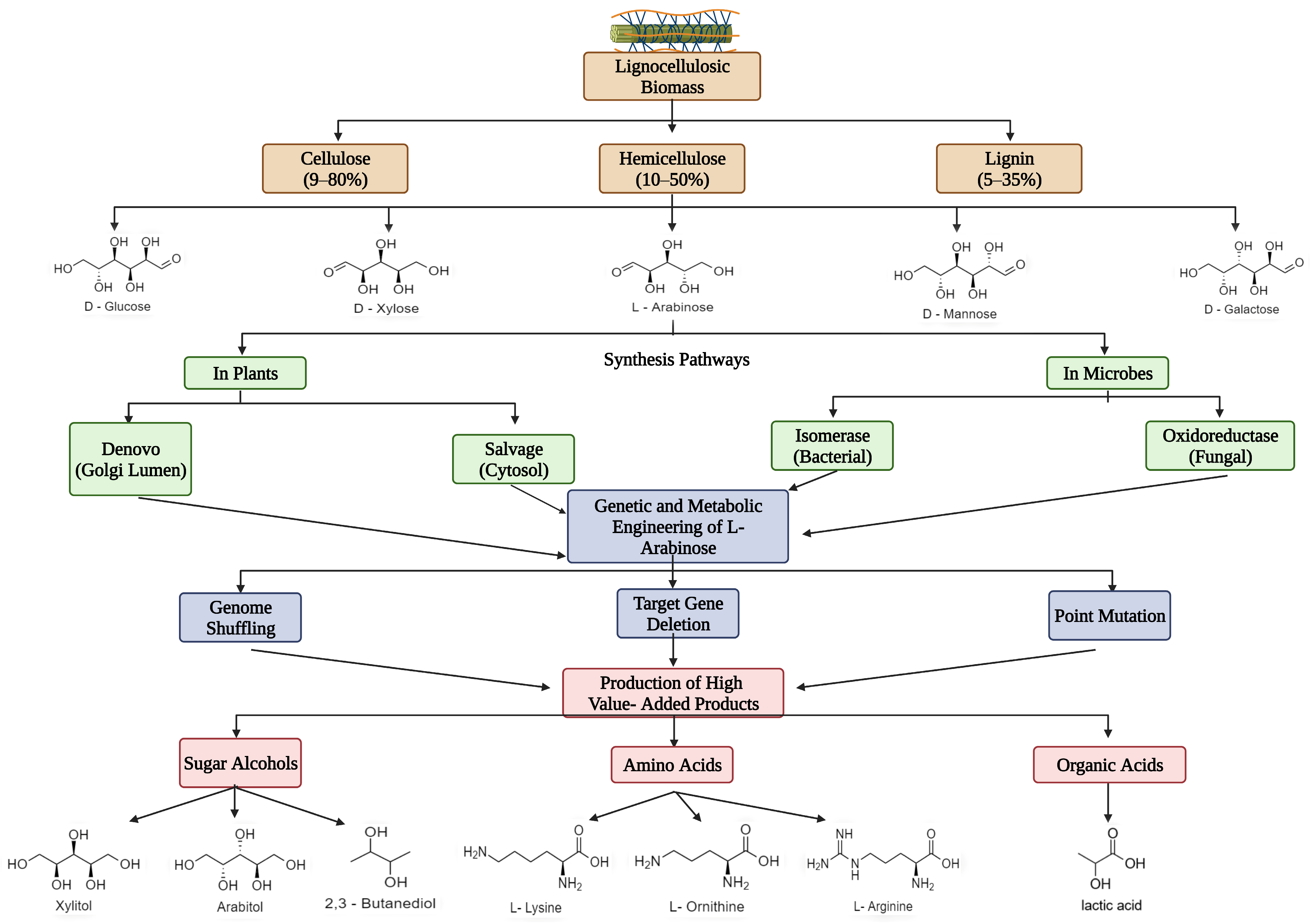 Processes 11 01516 g001