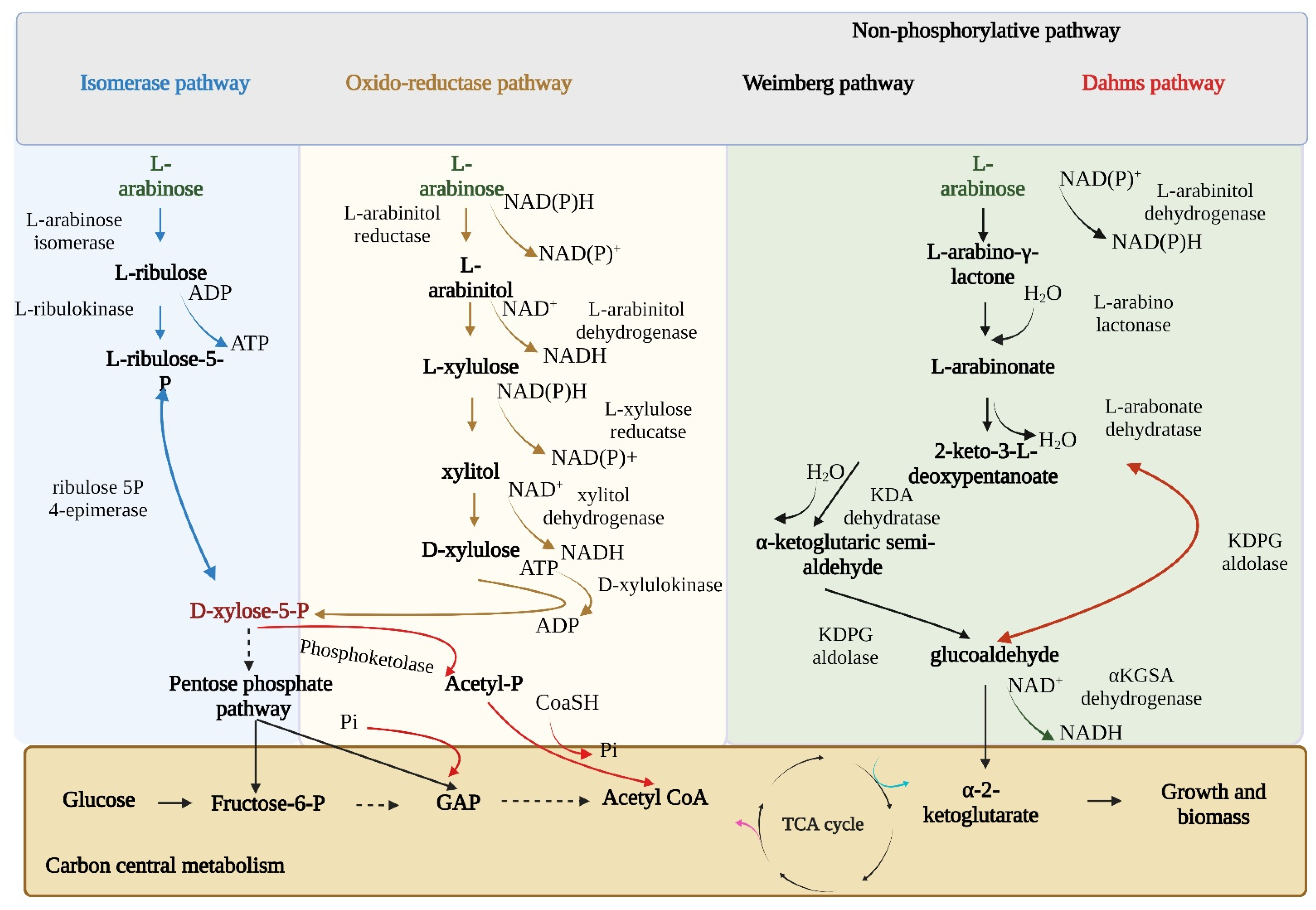 Processes 11 01516 g002