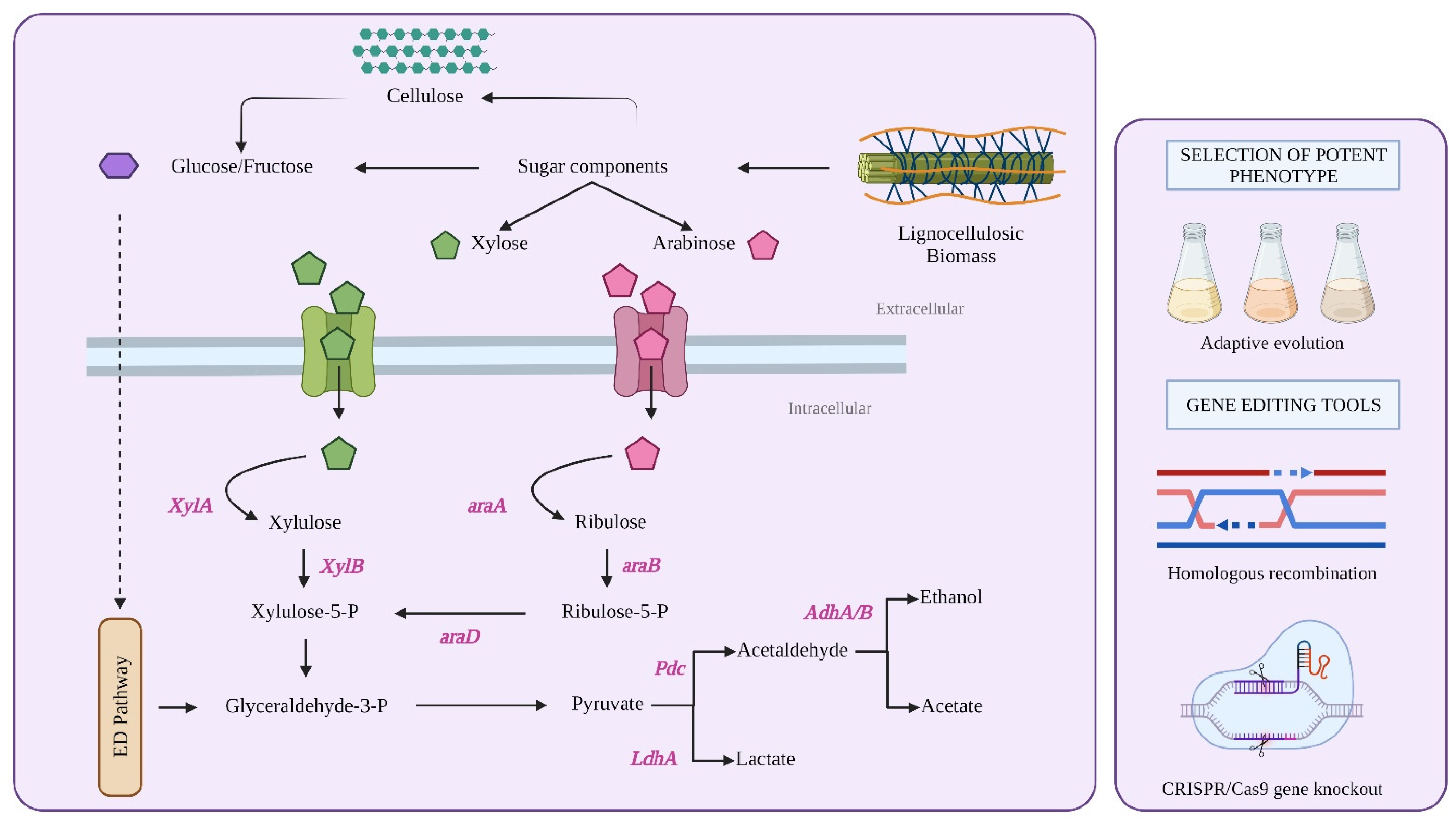 Processes 11 01516 g003