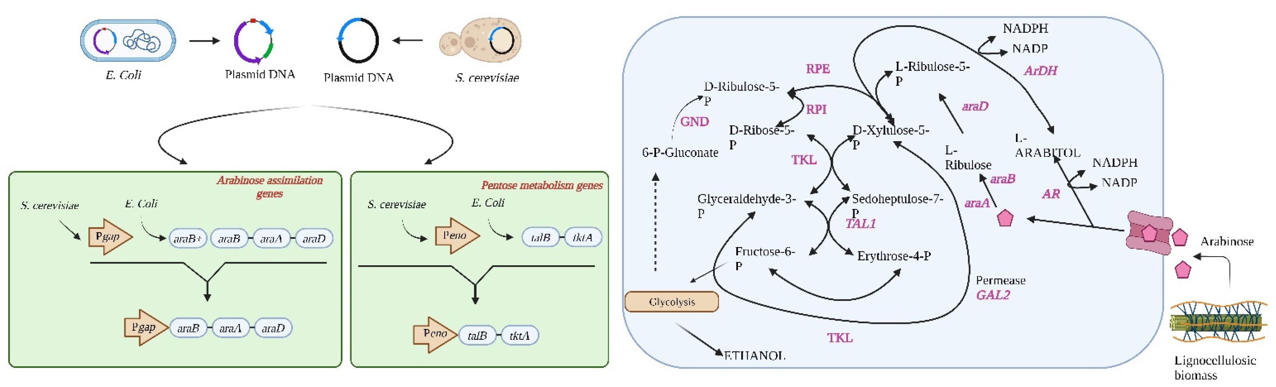 Processes 11 01516 g004