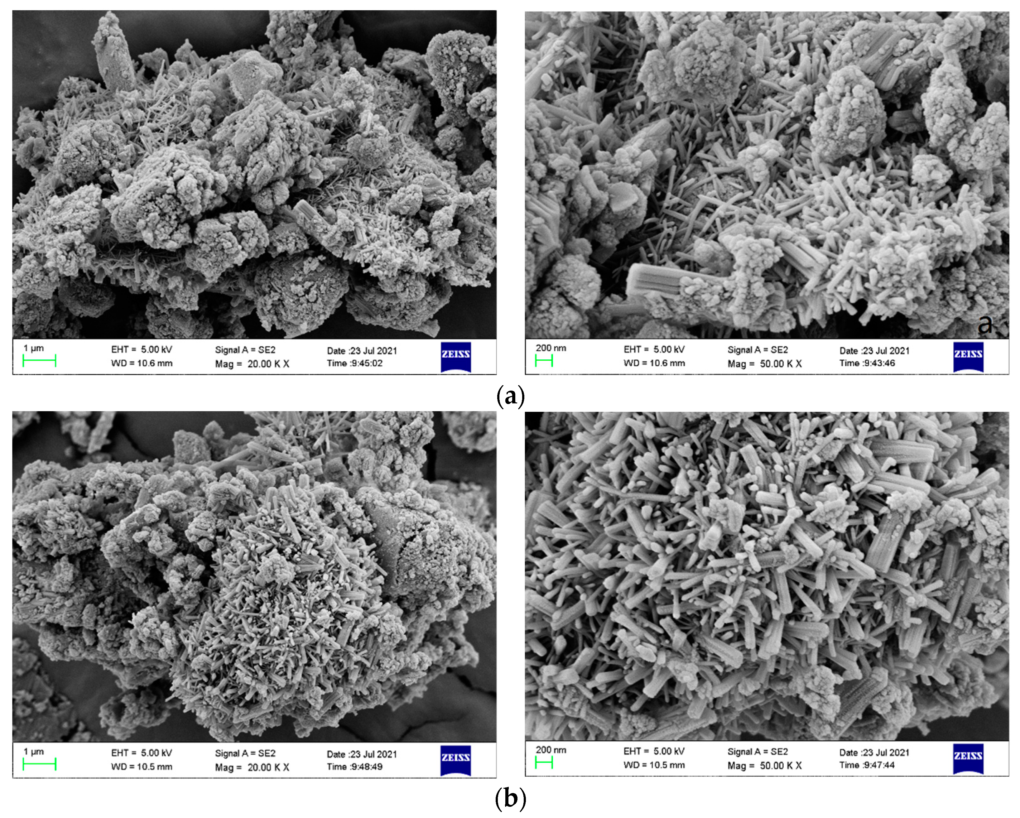 Processes 11 01627 g013