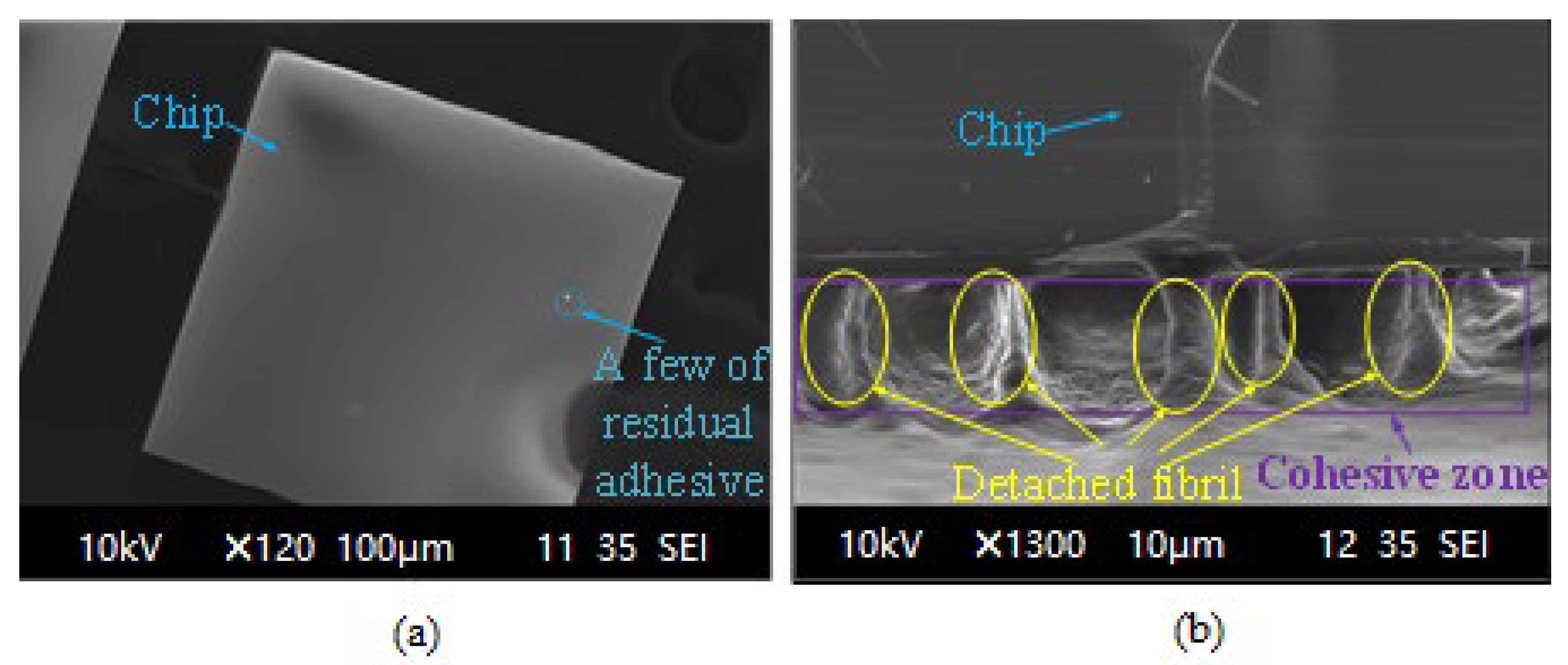 Processes 11 01637 g001