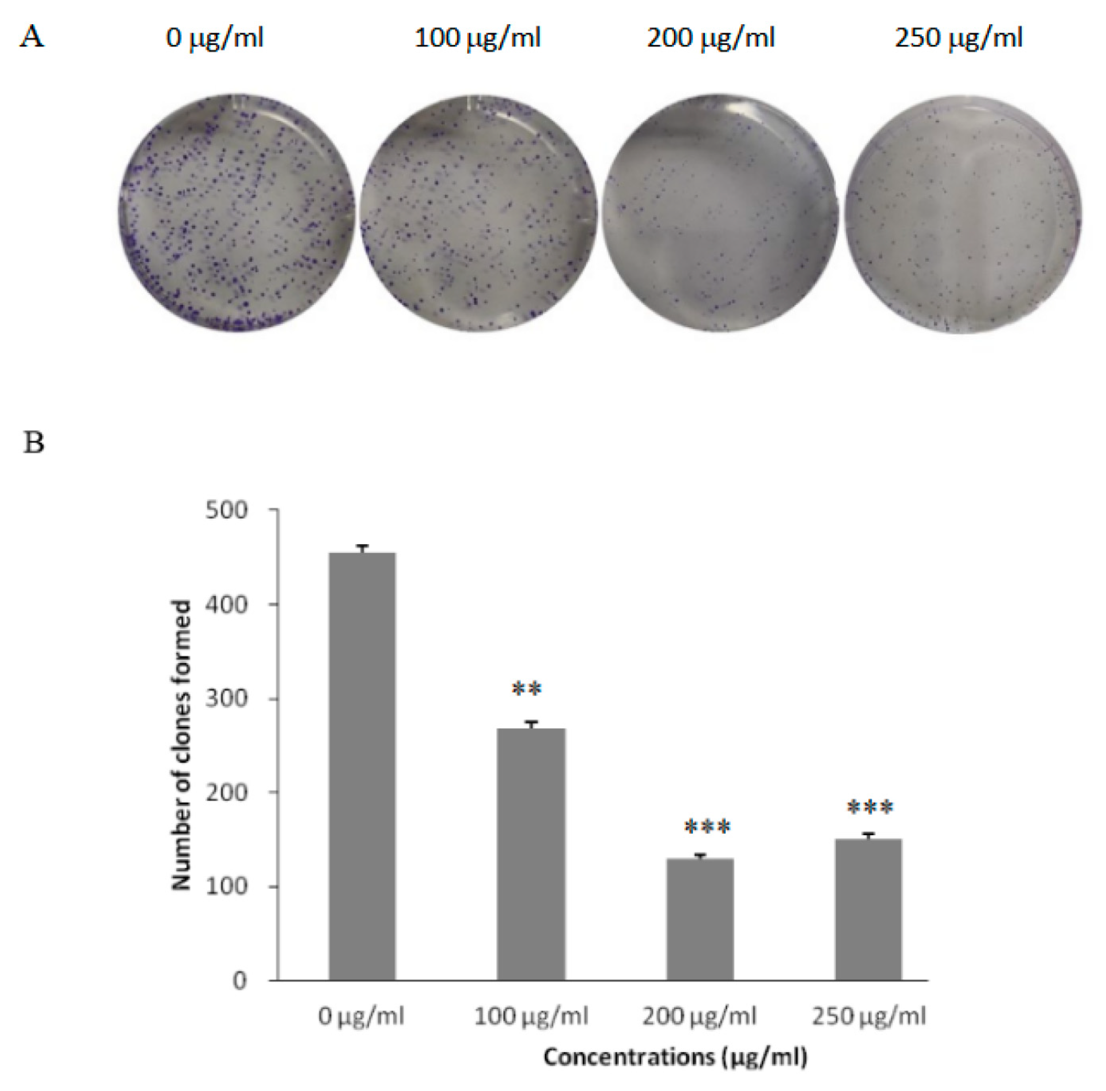 Processes 11 01652 g004