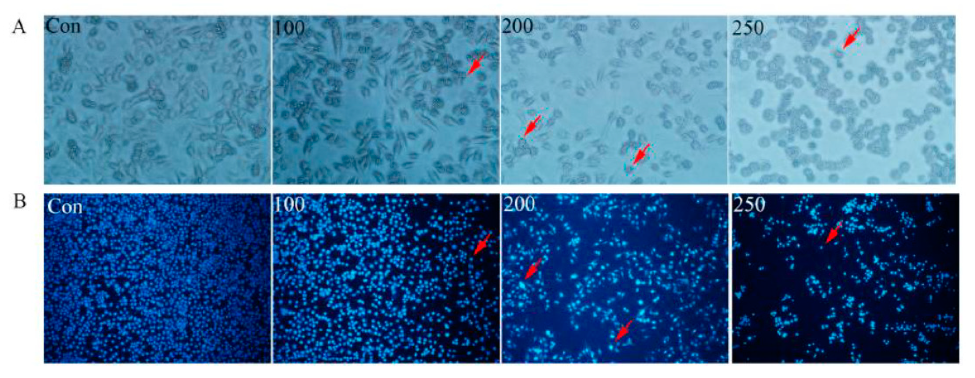 Processes 11 01652 g006
