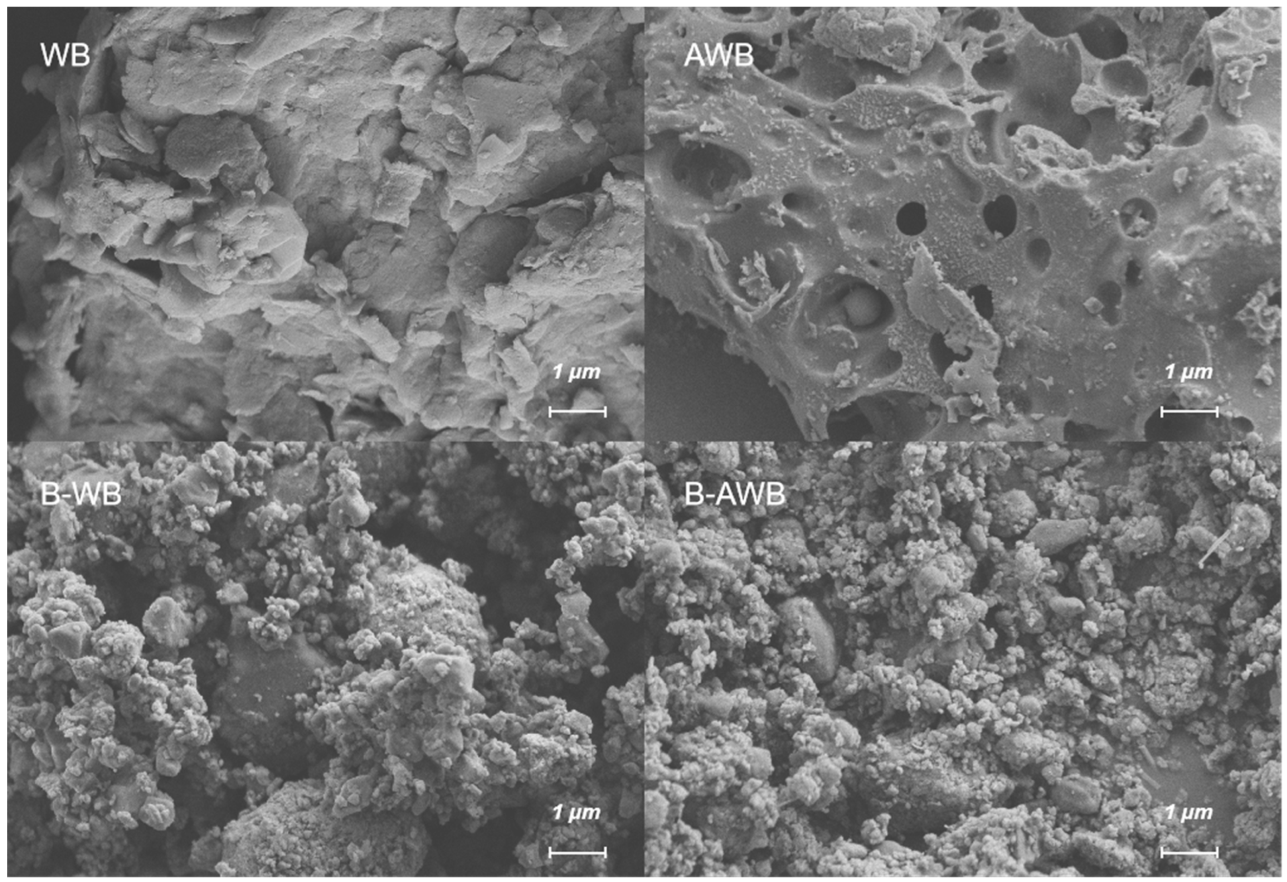 Processes 11 01671 g001